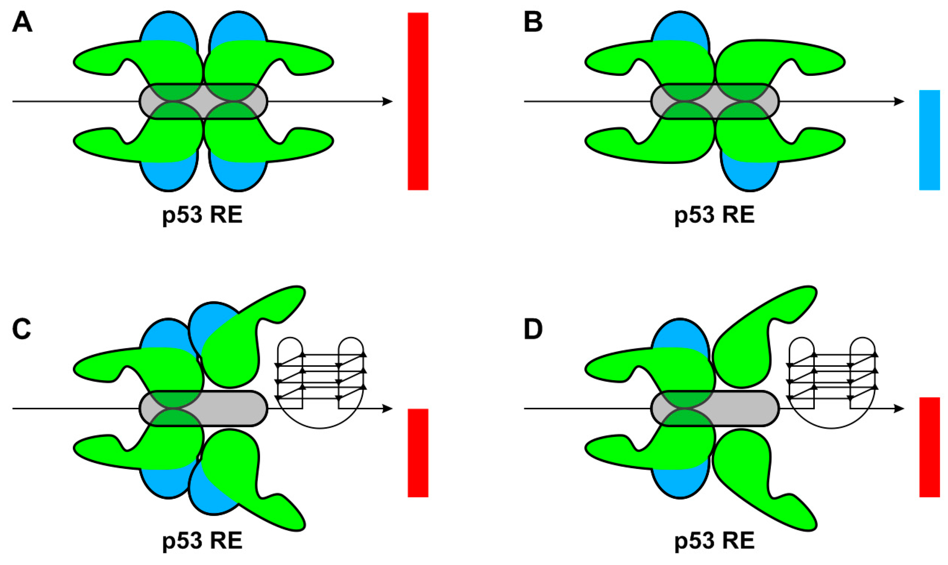 Ijms 21 00127 g008 Ijms 21 00127 g008