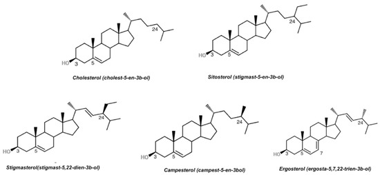 Cardiovascular Disease Prevention: The Earlier the Better? A Review of ...