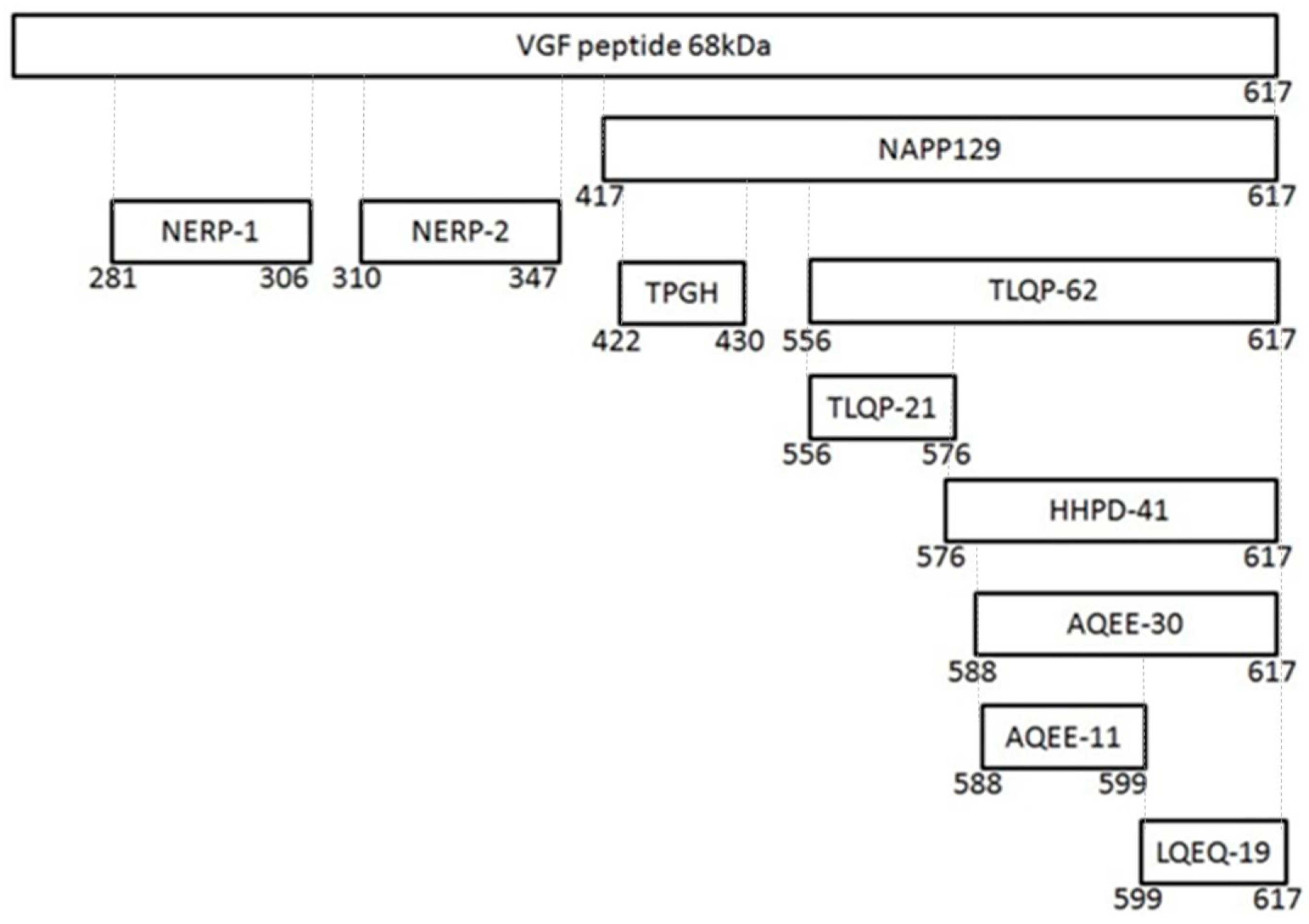 Ijms 21 00130 g001 Ijms 21 00130 g001