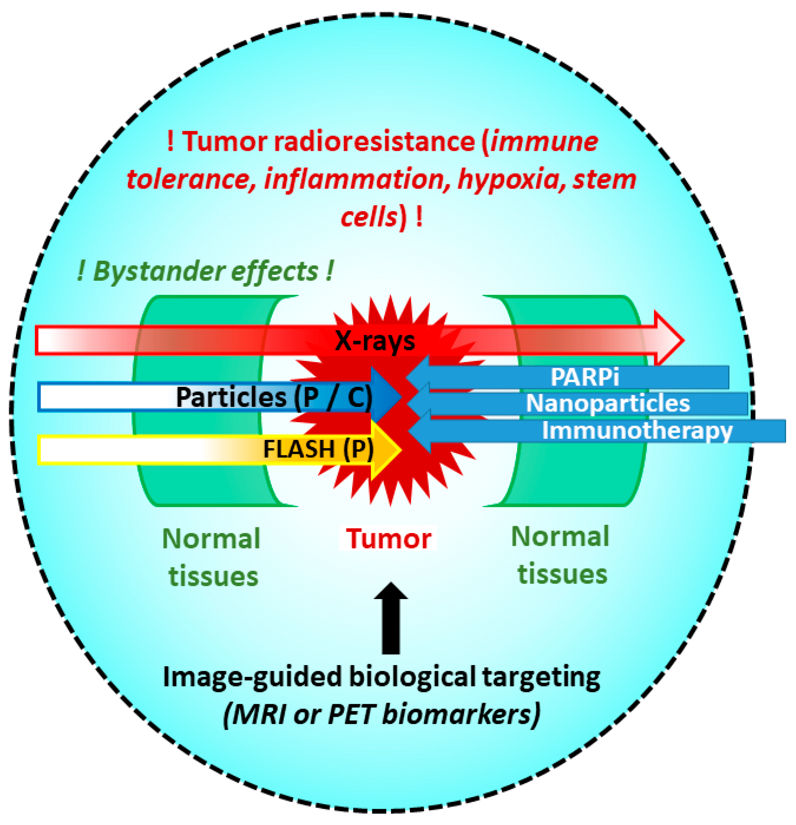 deugd uitbreiden Gestaag IJMS | Free Full-Text | Hadrontherapy Interactions in Molecular and  Cellular Biology