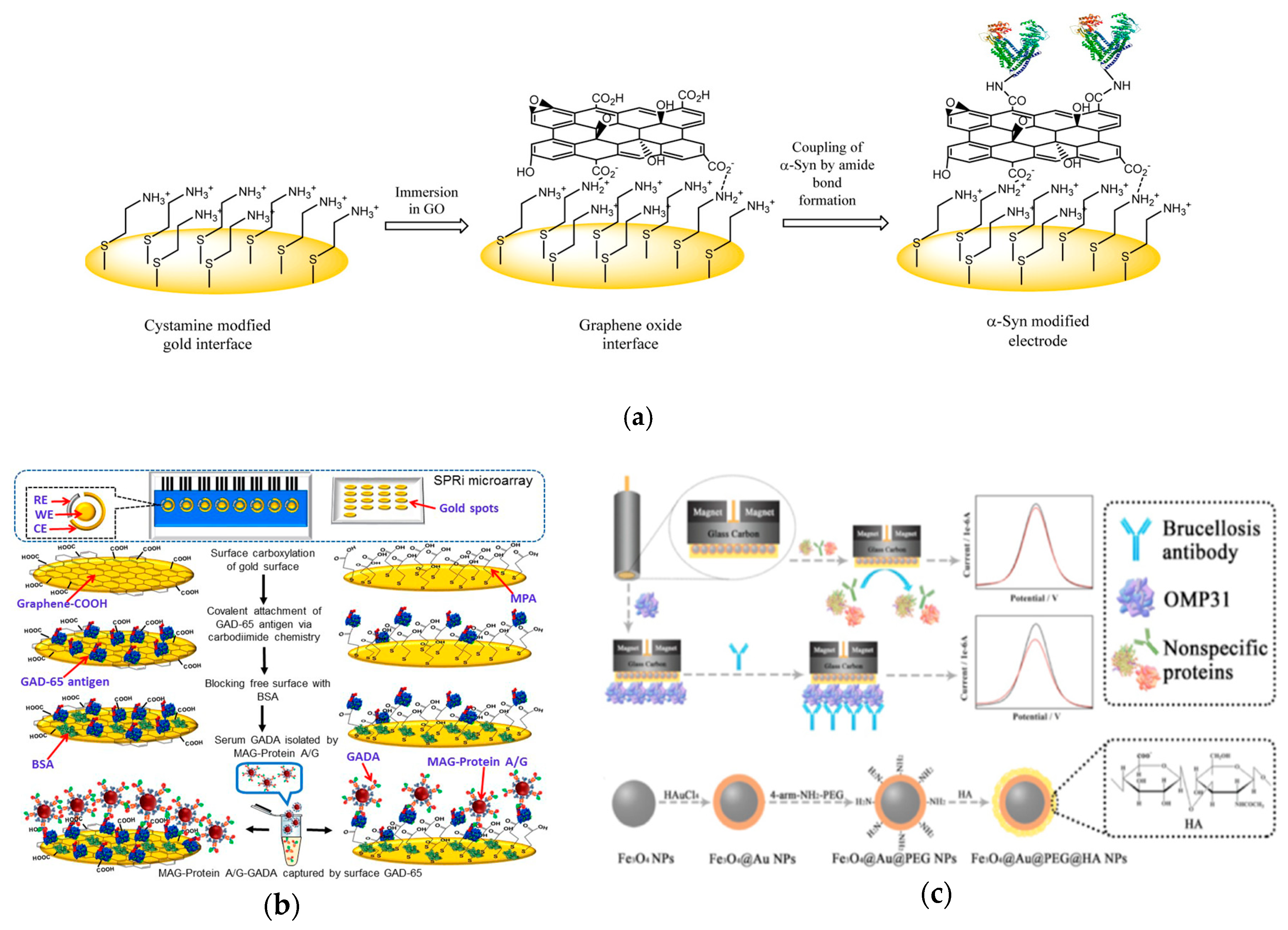 Ijms 21 00134 g004 Ijms 21 00134 g004