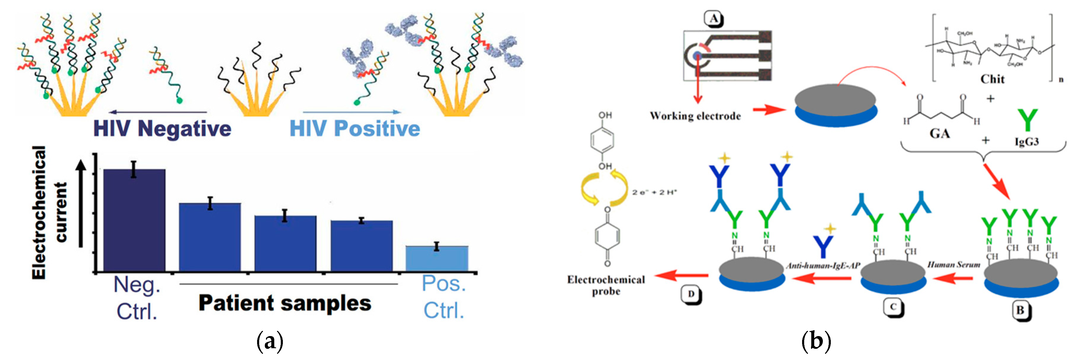 Ijms 21 00134 g005 Ijms 21 00134 g005