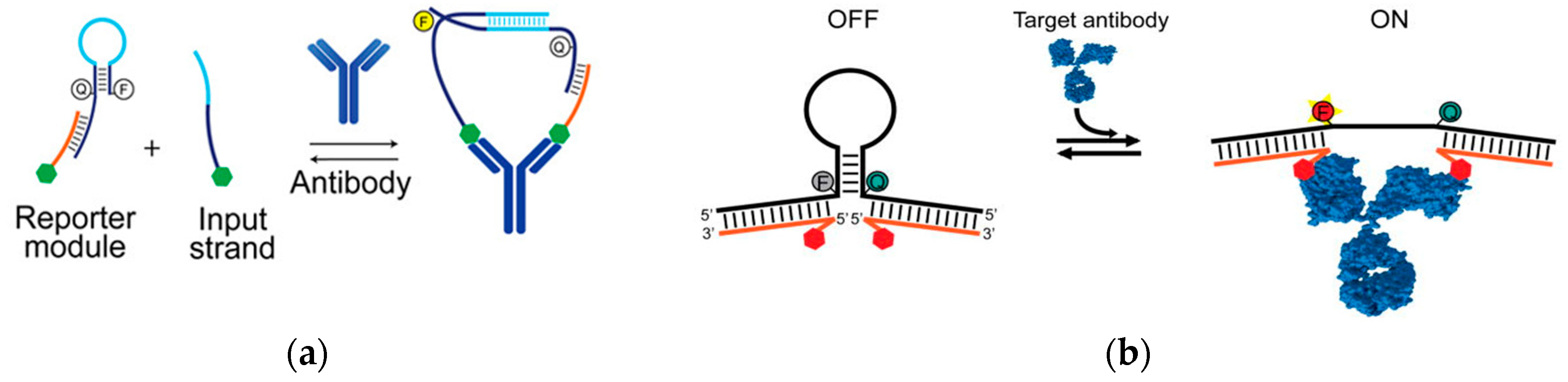 Ijms 21 00134 g007 Ijms 21 00134 g007