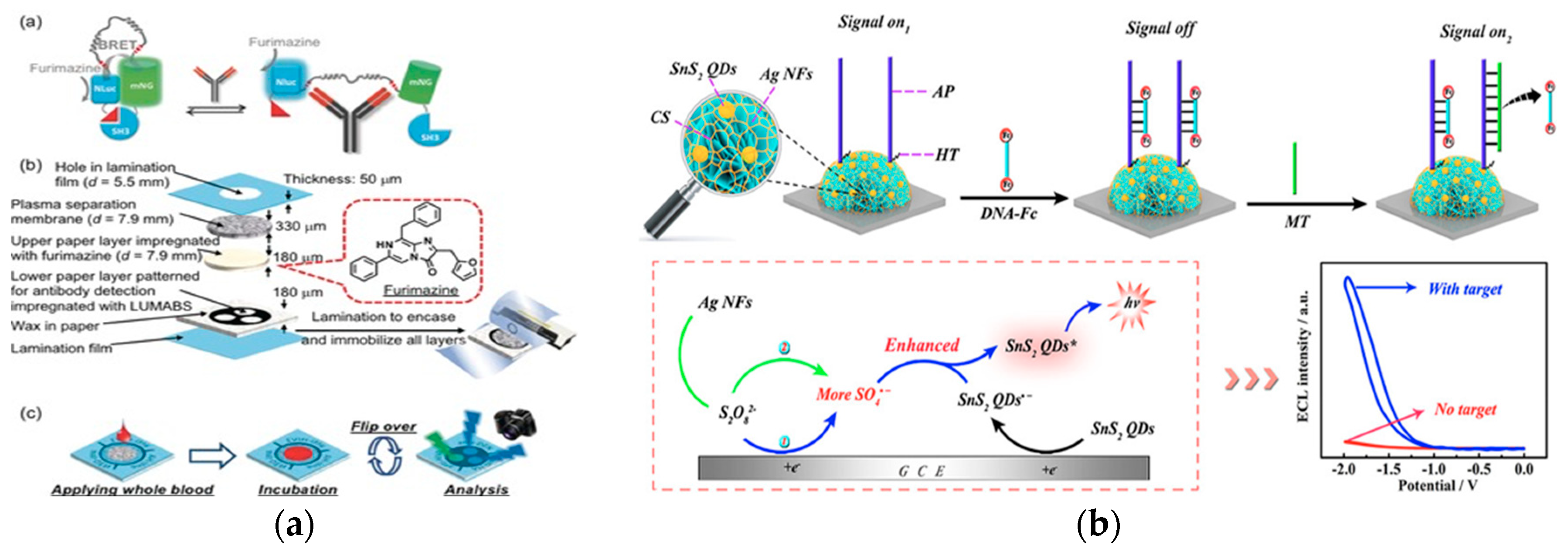 Ijms 21 00134 g009 Ijms 21 00134 g009