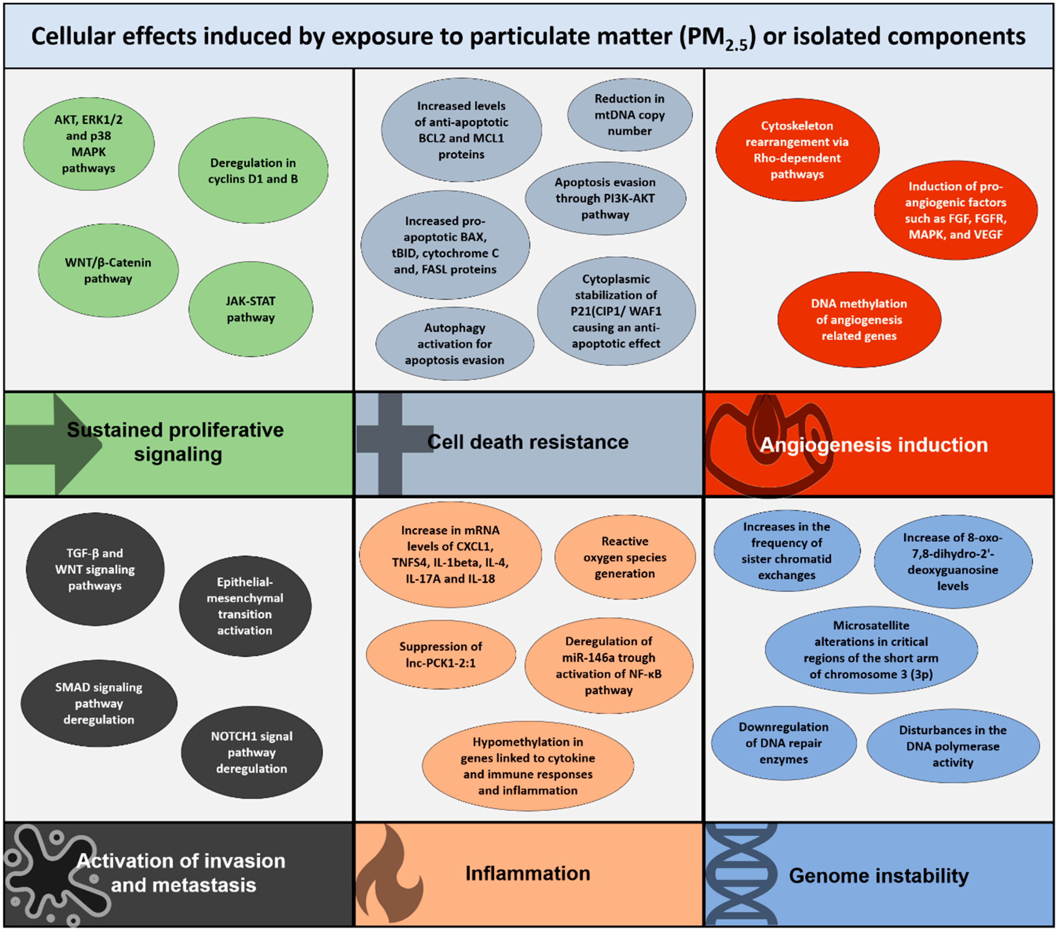 Ijms 21 00136 g001 Ijms 21 00136 g001