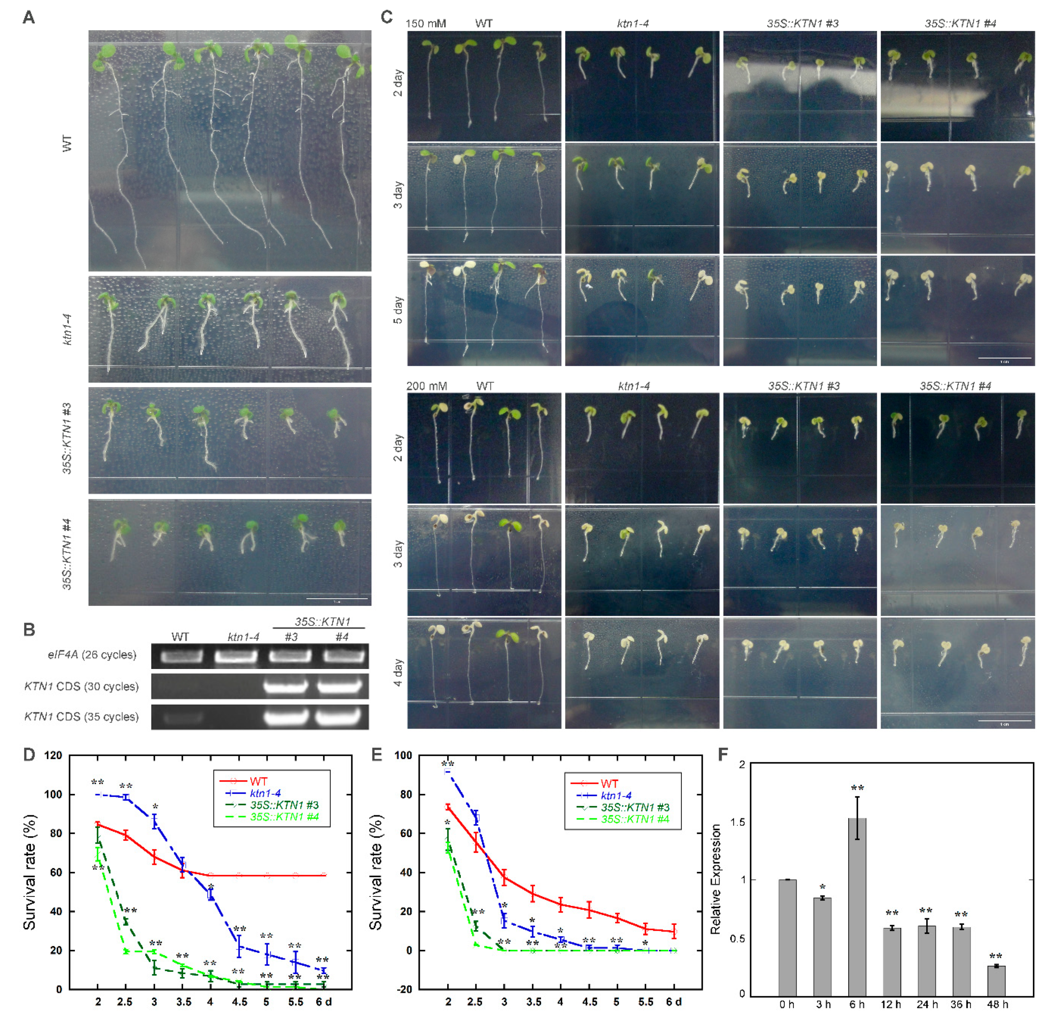 Ijms 21 00138 g001 Ijms 21 00138 g001