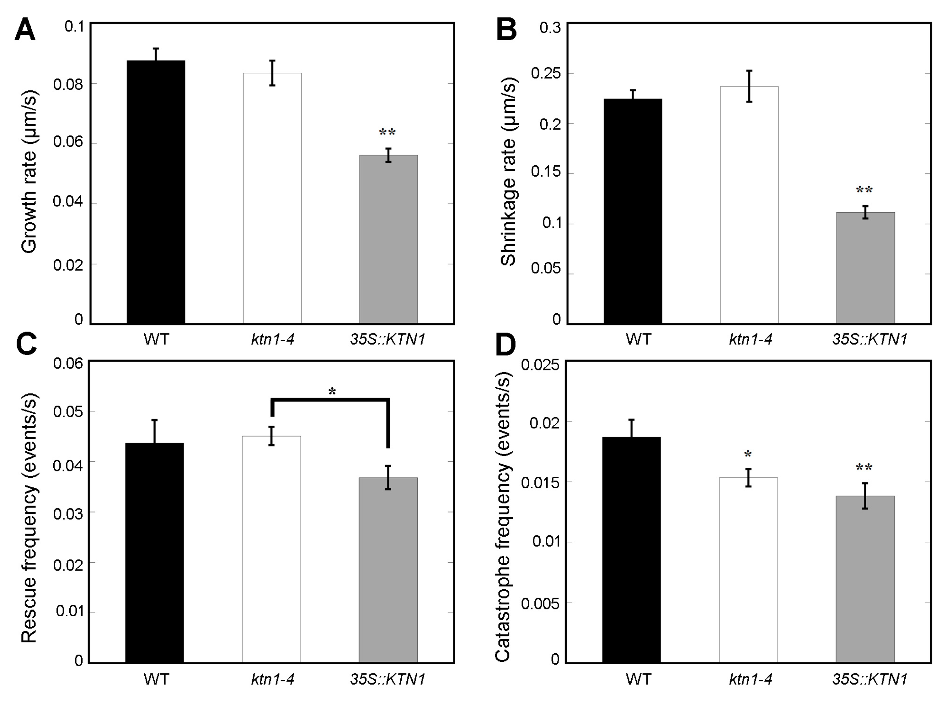 Ijms 21 00138 g006 Ijms 21 00138 g006