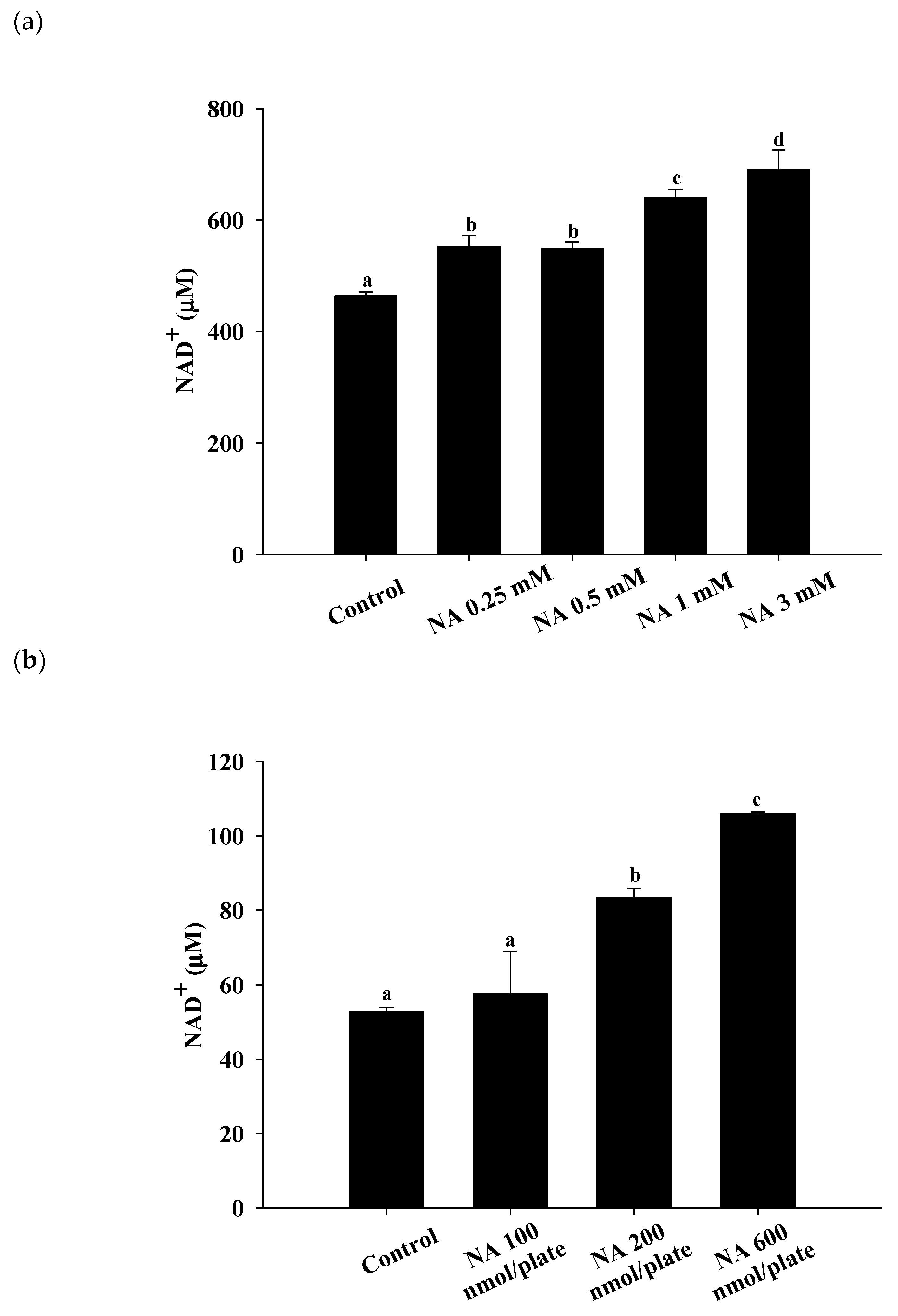 Ijms 21 00142 g001 Ijms 21 00142 g001