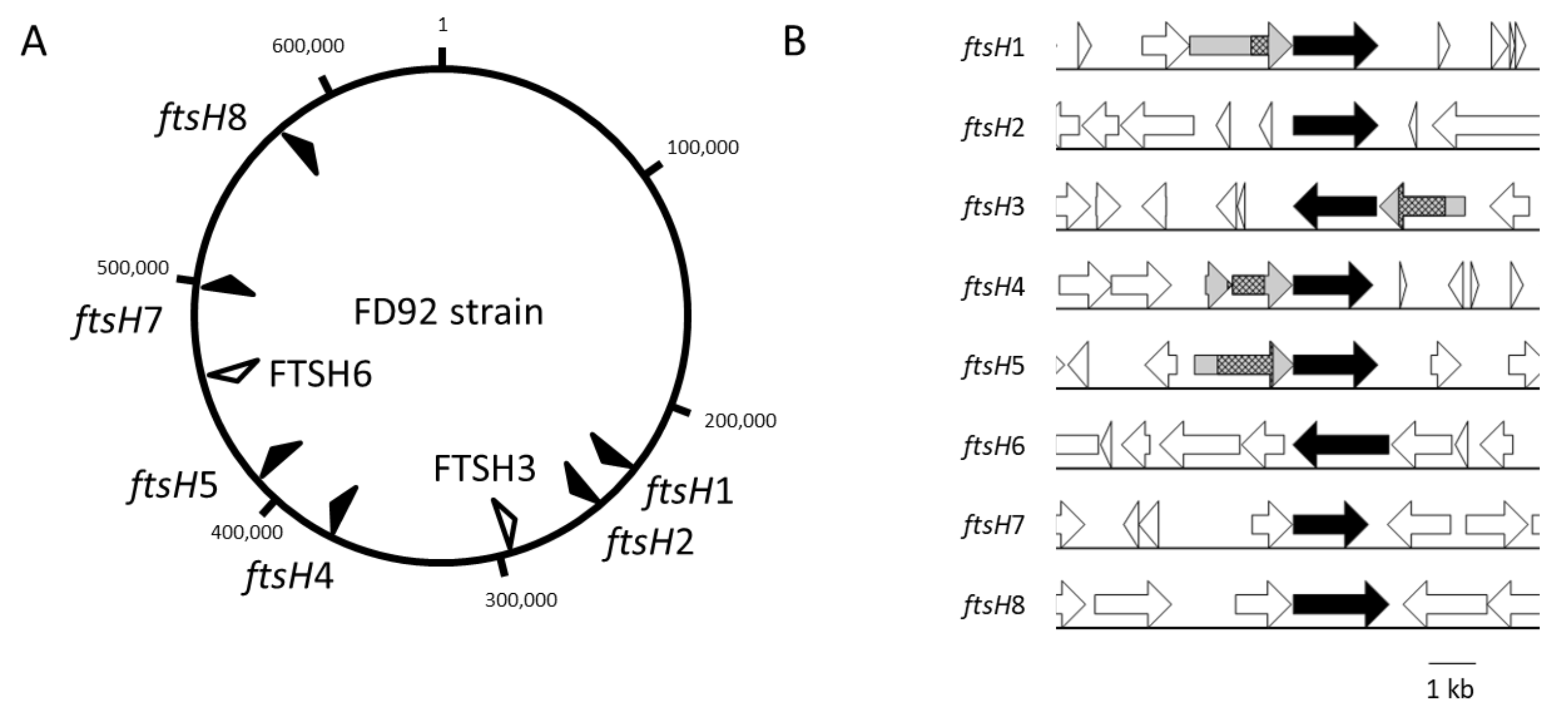 Ijms 21 00150 g003 Ijms 21 00150 g003