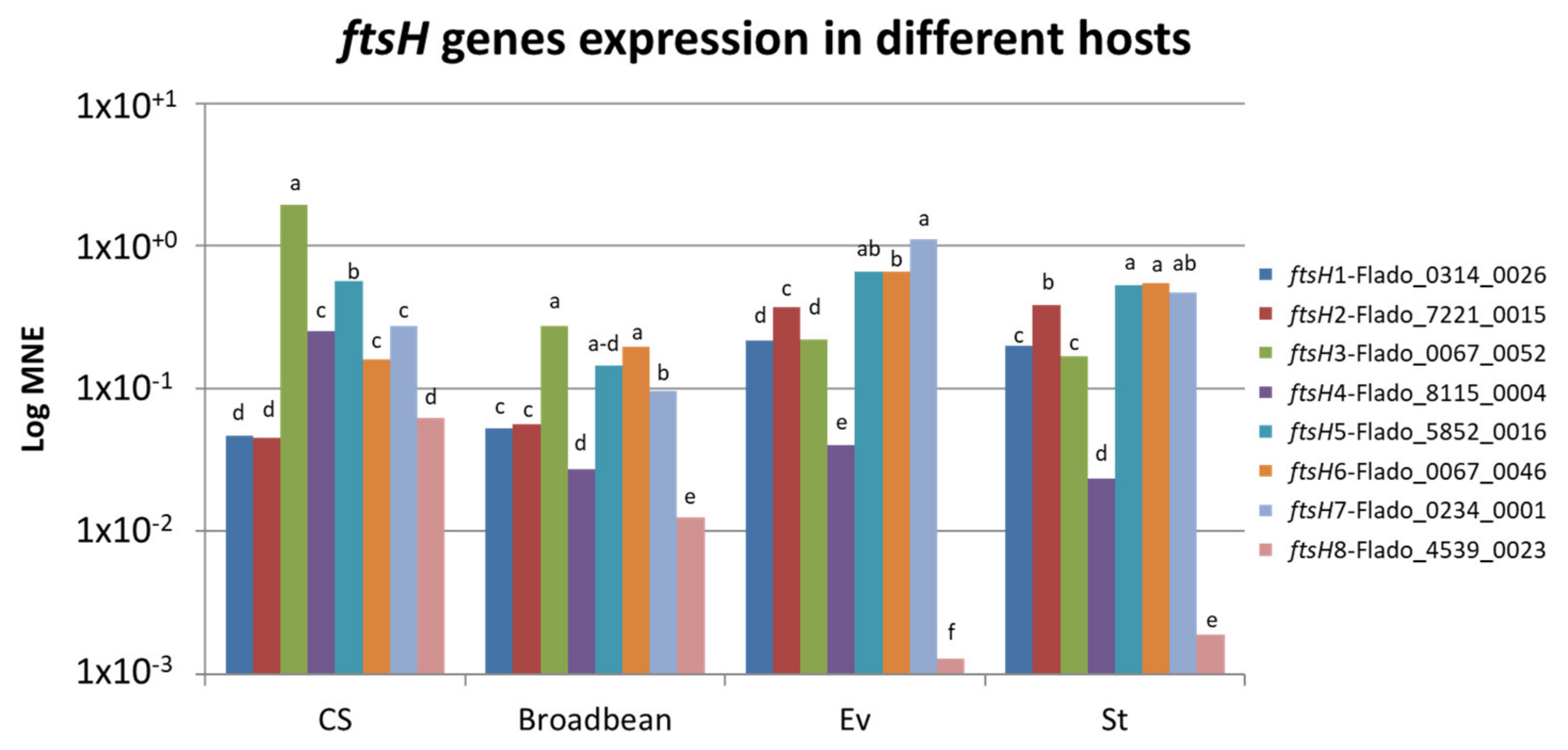 Ijms 21 00150 g004 Ijms 21 00150 g004