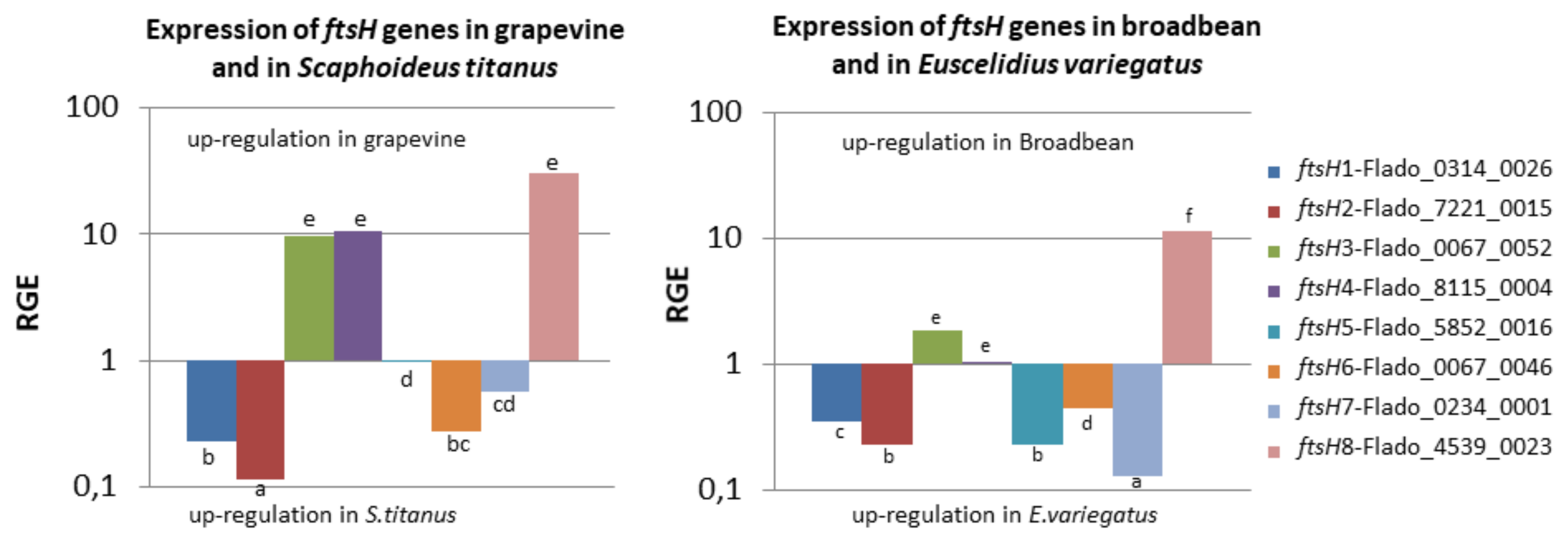 Ijms 21 00150 g005 Ijms 21 00150 g005