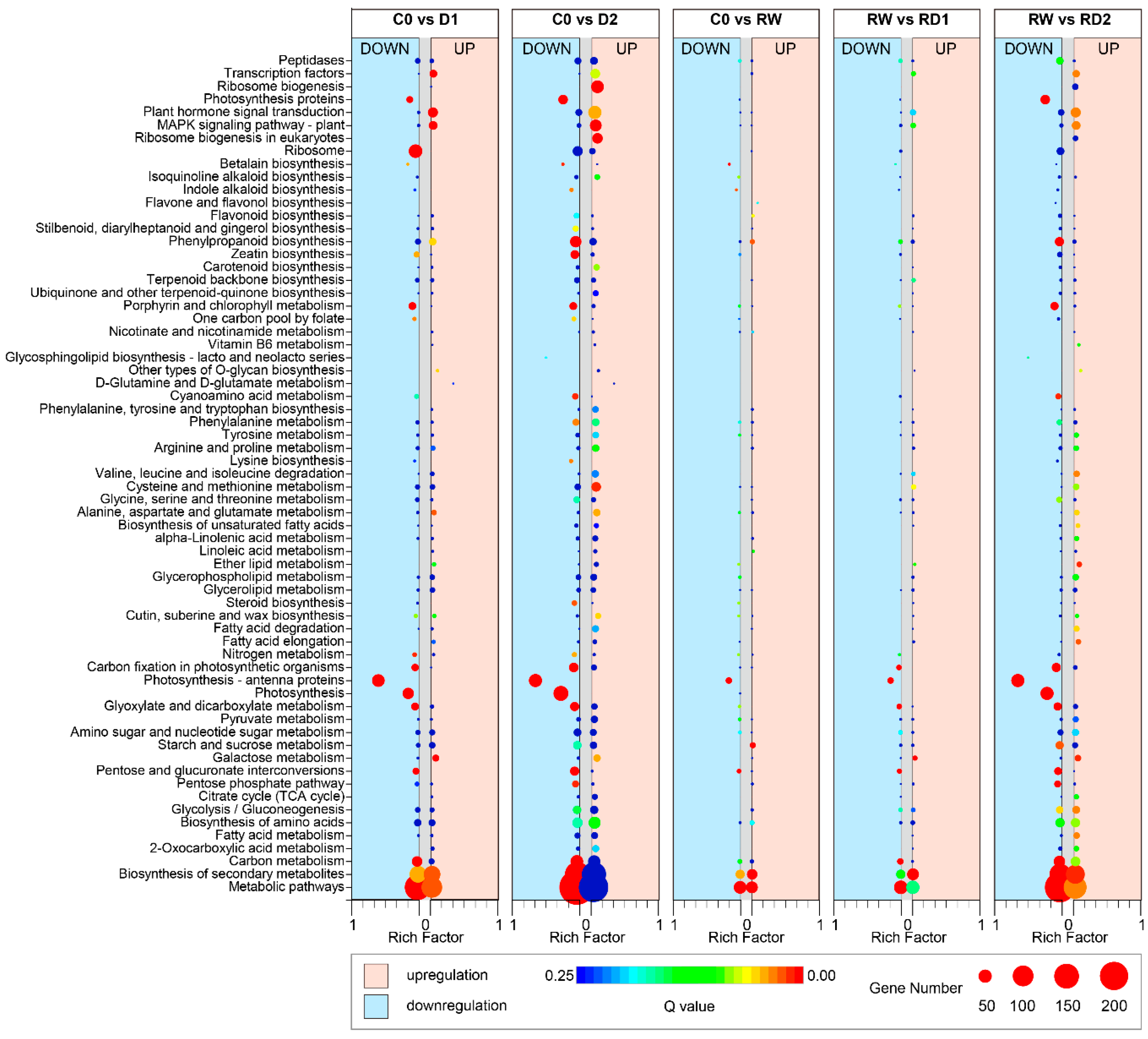 Ijms 21 00159 g003 Ijms 21 00159 g003