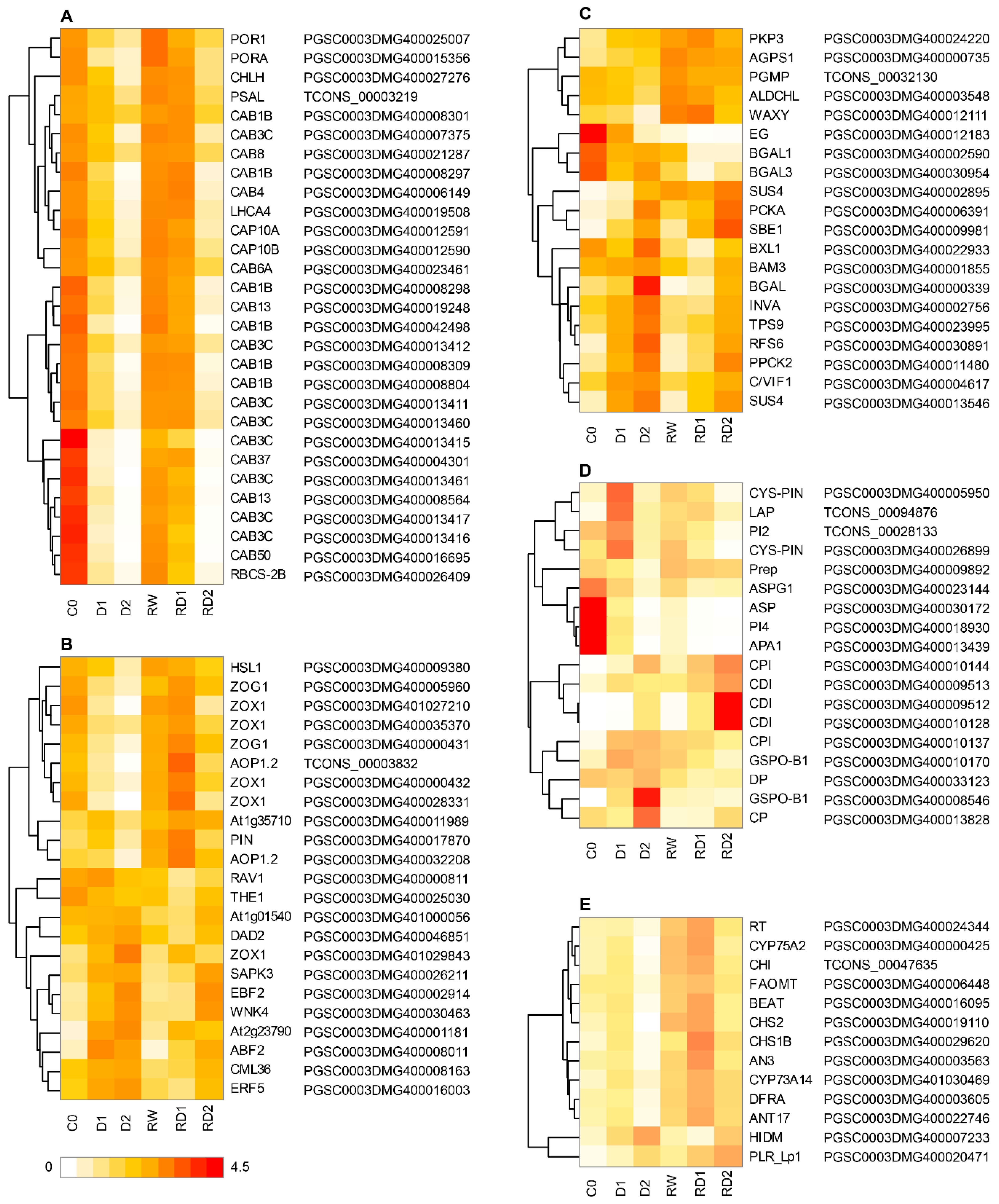 Ijms 21 00159 g006 Ijms 21 00159 g006