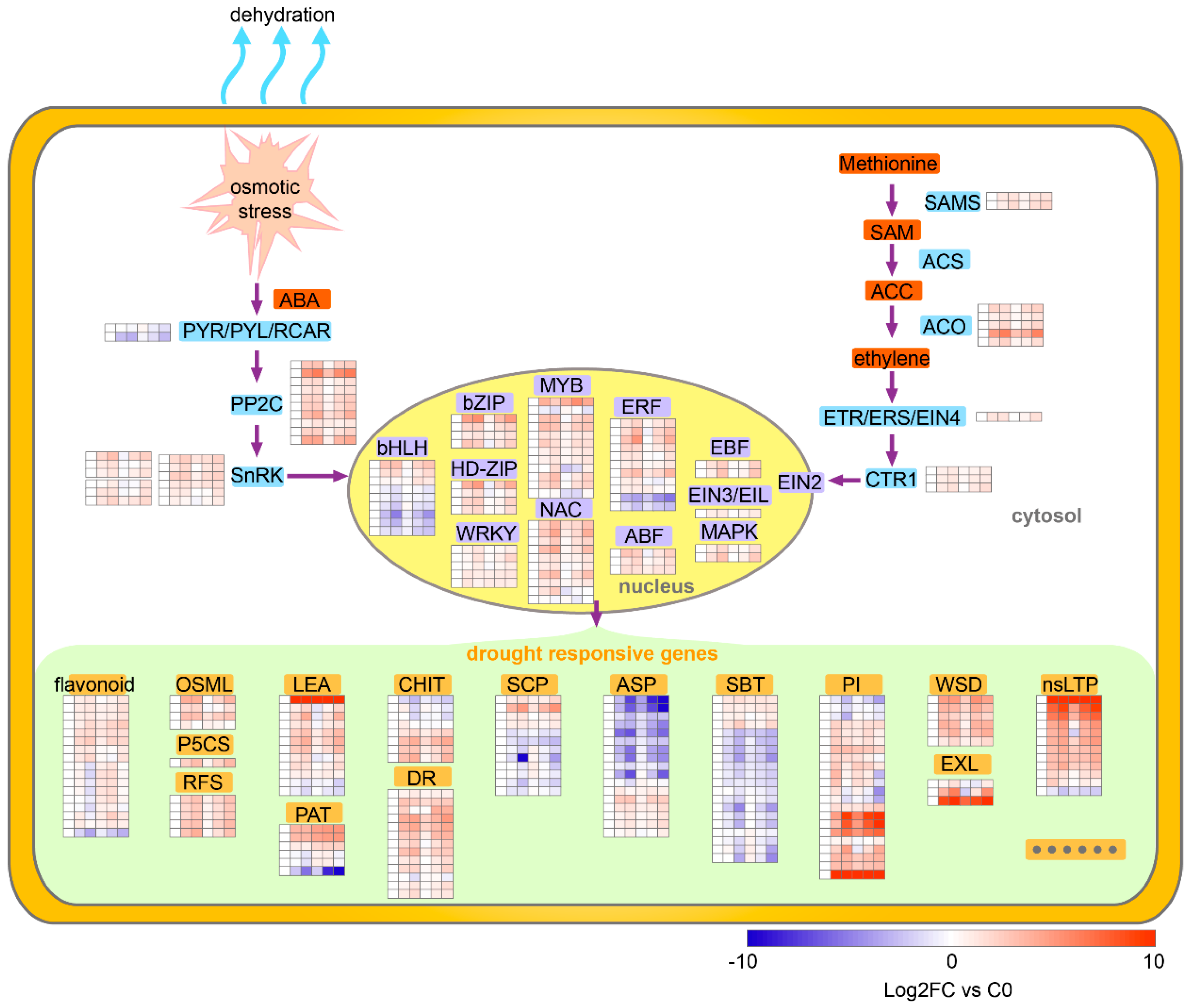 Ijms 21 00159 g008 Ijms 21 00159 g008