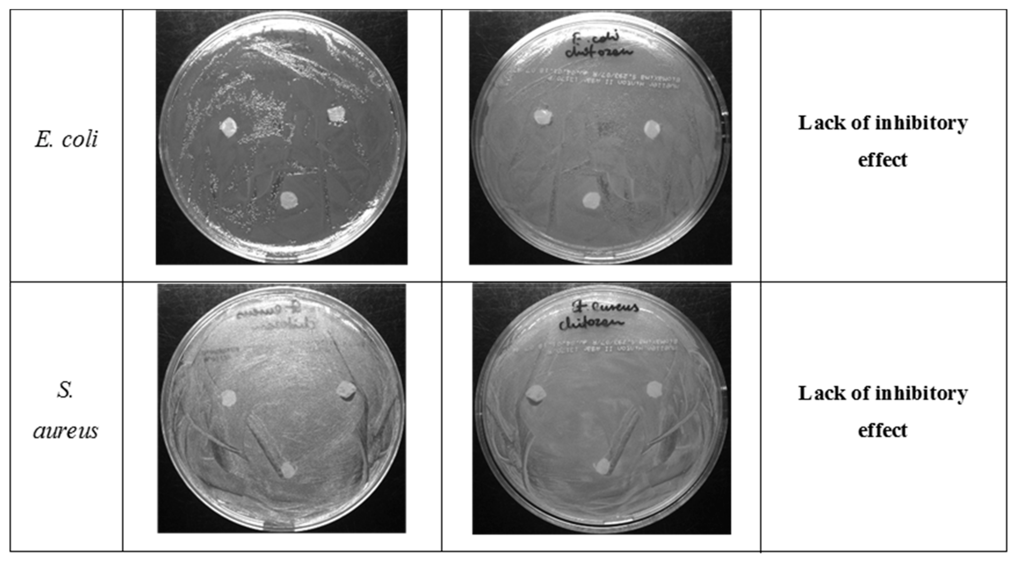 Ijms 21 00166 g009 Ijms 21 00166 g009