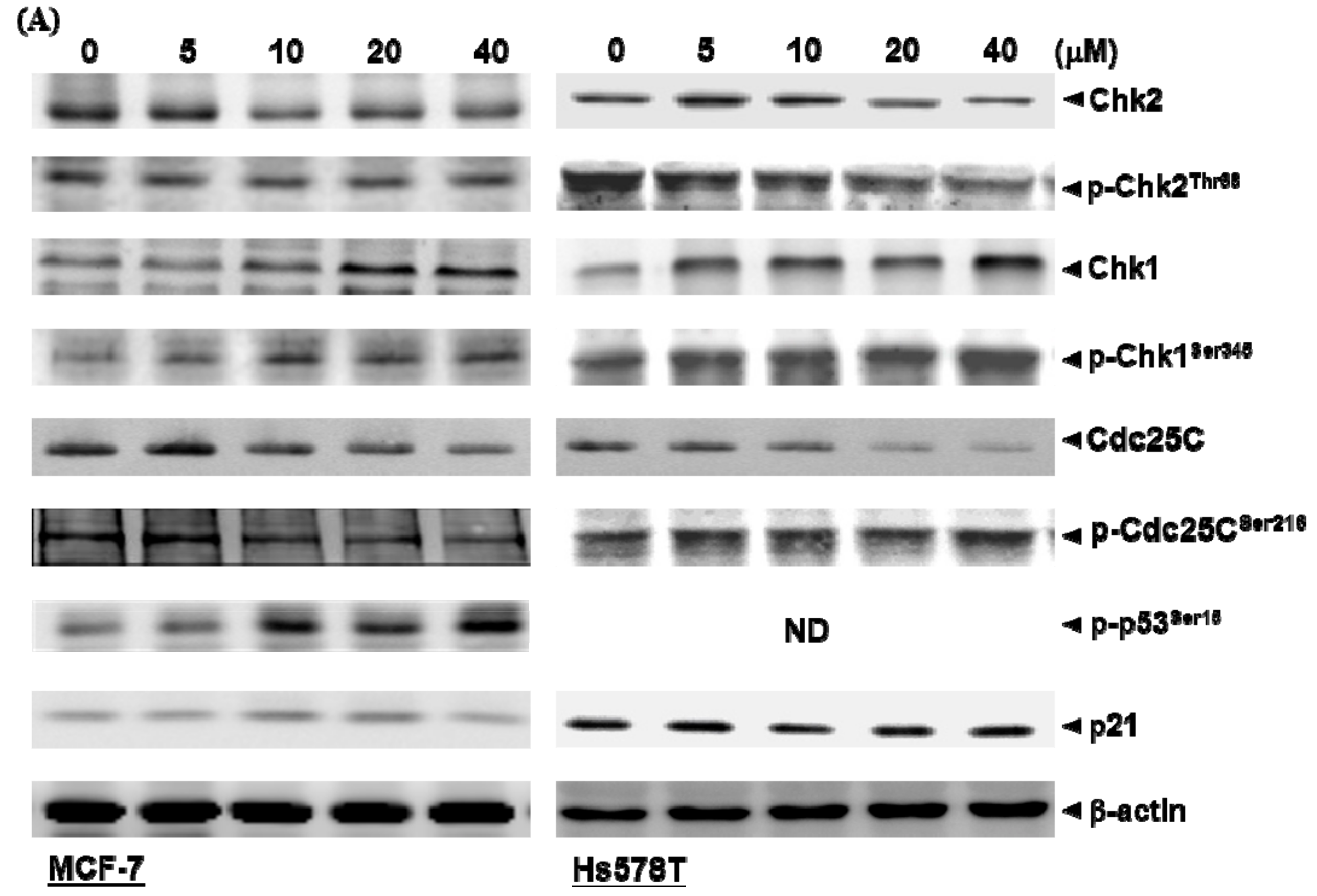 Ijms 21 00172 g003a