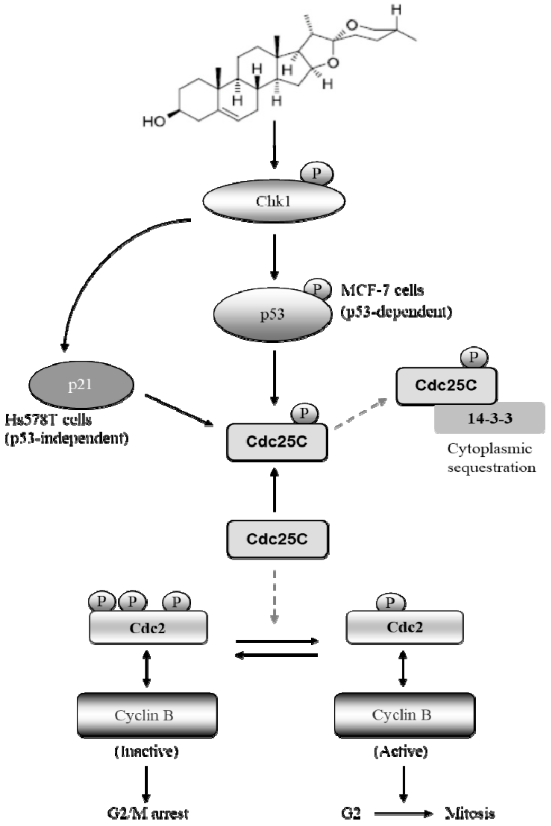 Ijms 21 00172 g005