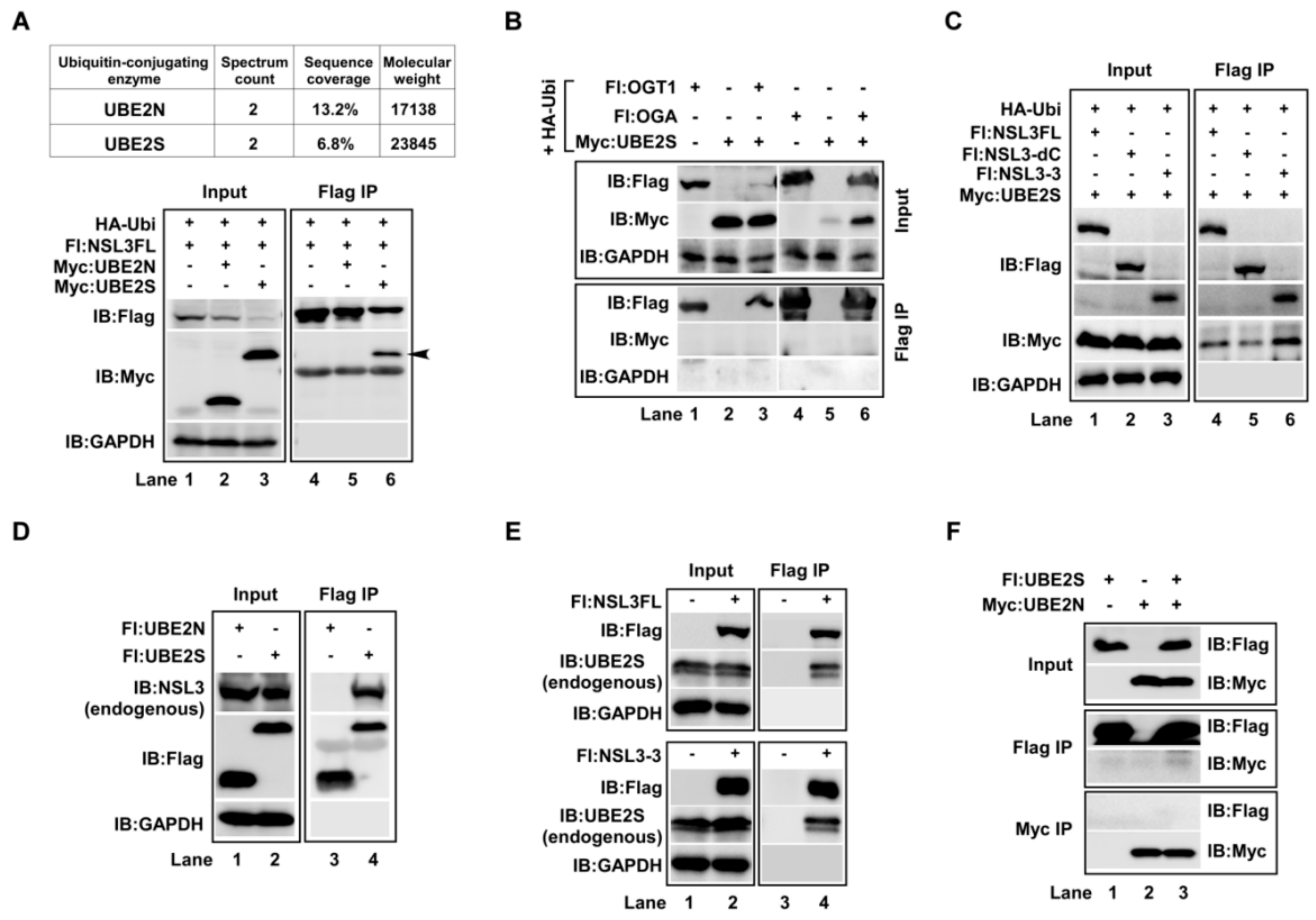 Ijms 21 00173 g002 Ijms 21 00173 g002