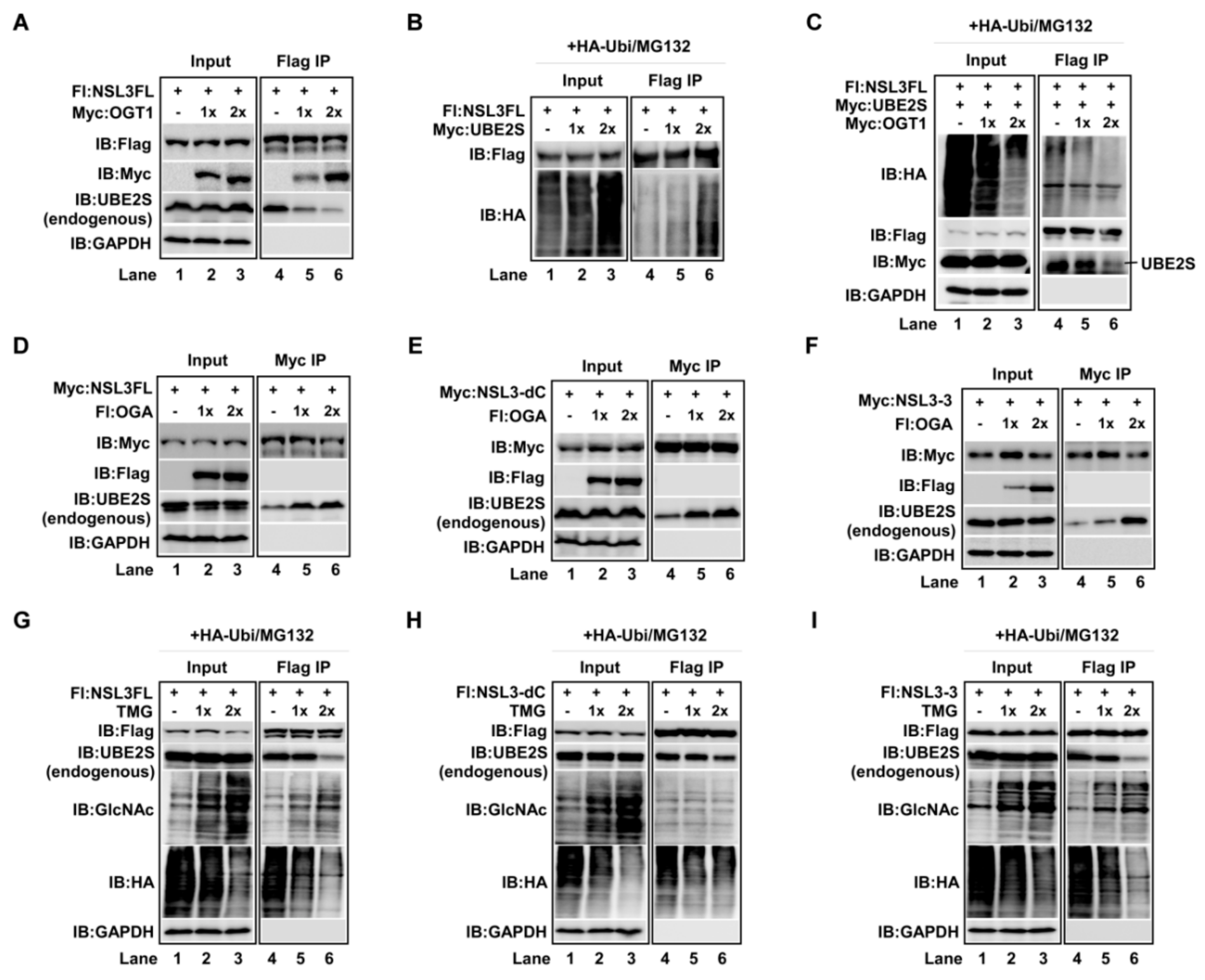 Ijms 21 00173 g003 Ijms 21 00173 g003