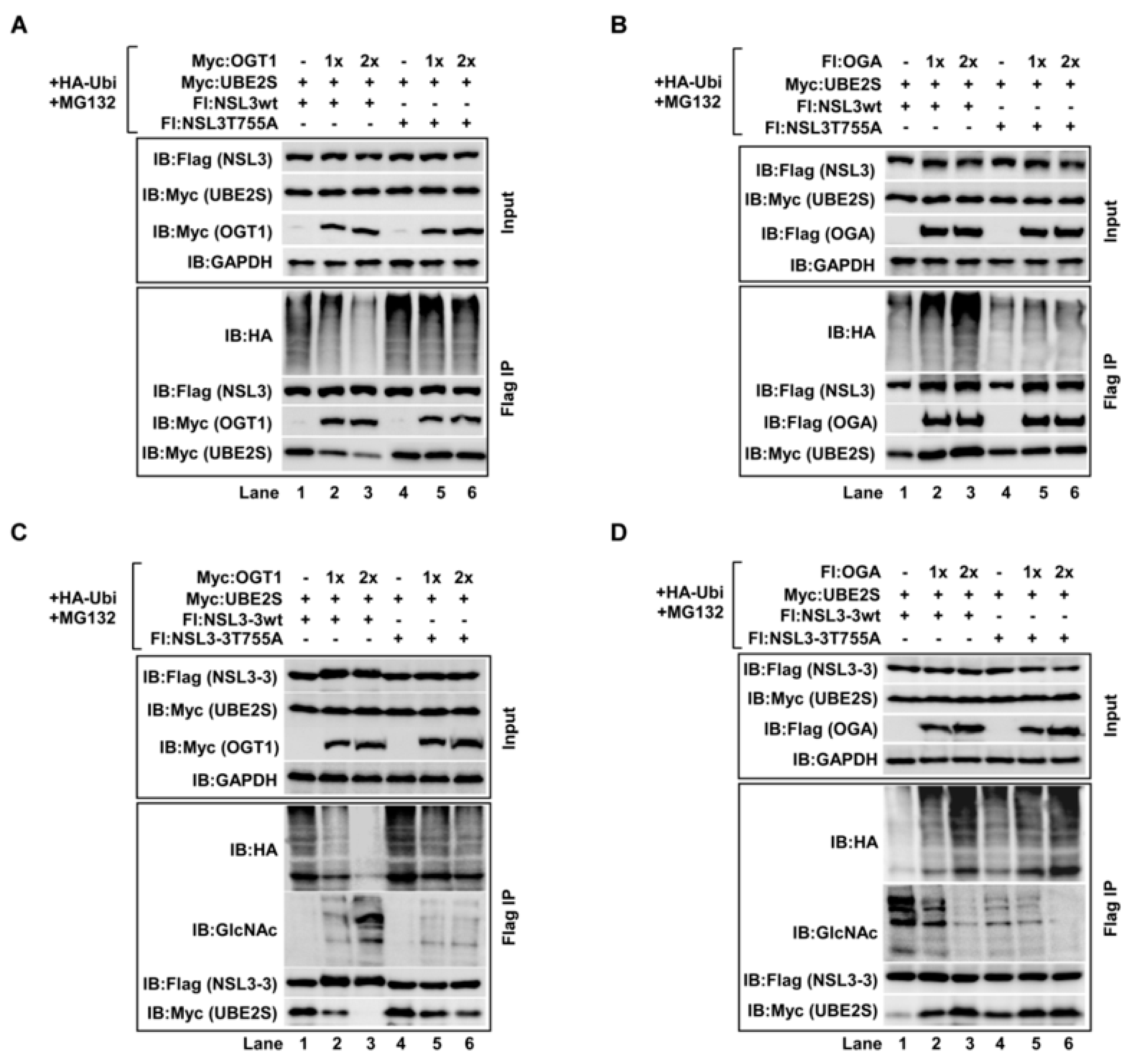 Ijms 21 00173 g005 Ijms 21 00173 g005