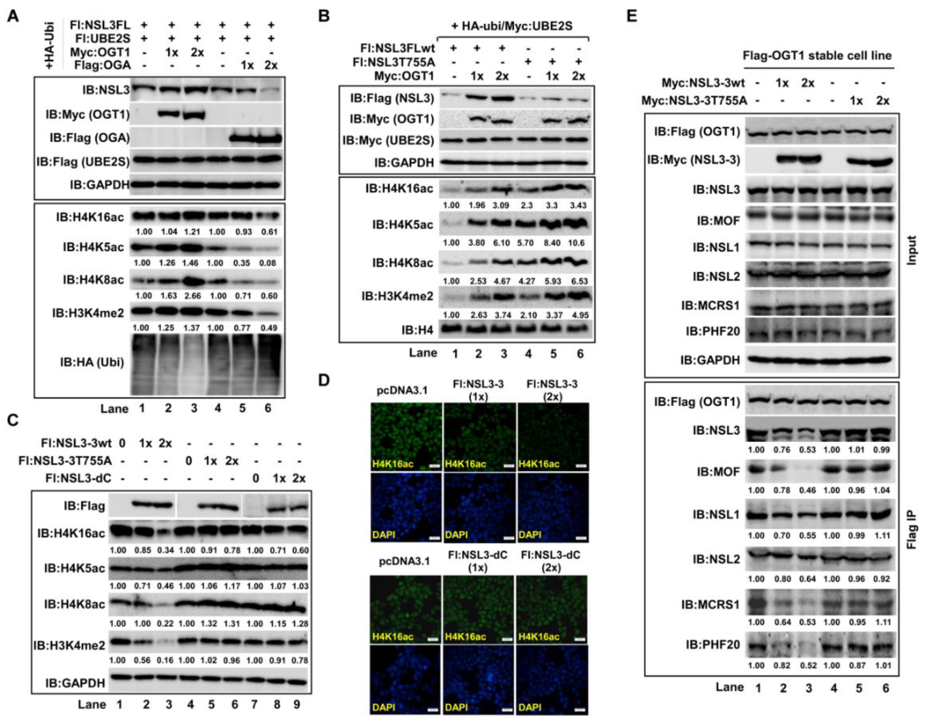 Ijms 21 00173 g006 Ijms 21 00173 g006