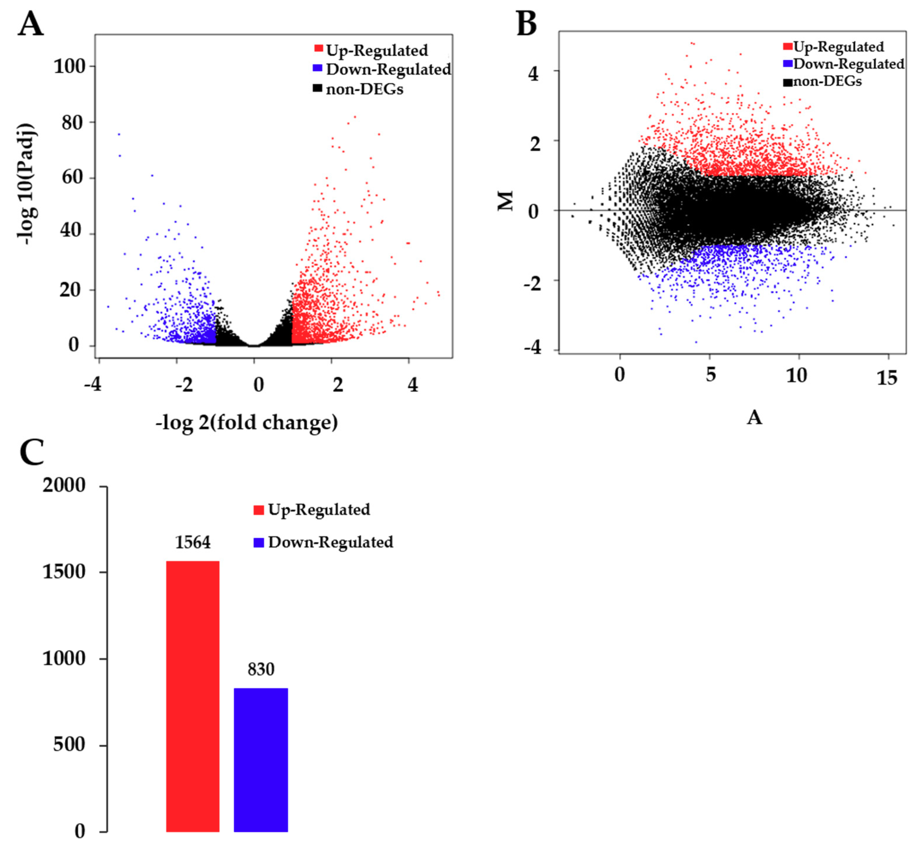 Ijms 21 00180 g002 Ijms 21 00180 g002