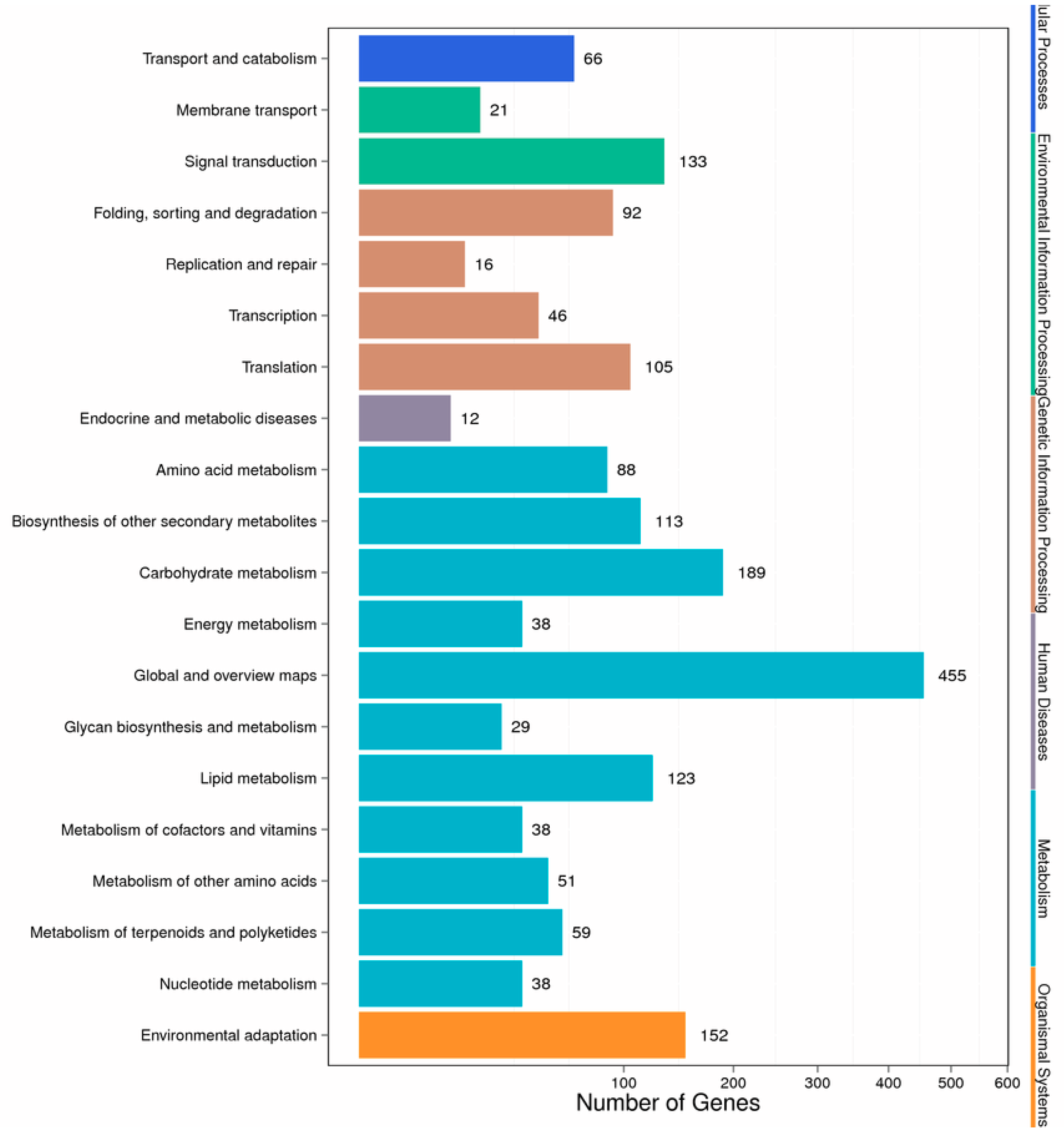 Ijms 21 00180 g004 Ijms 21 00180 g004