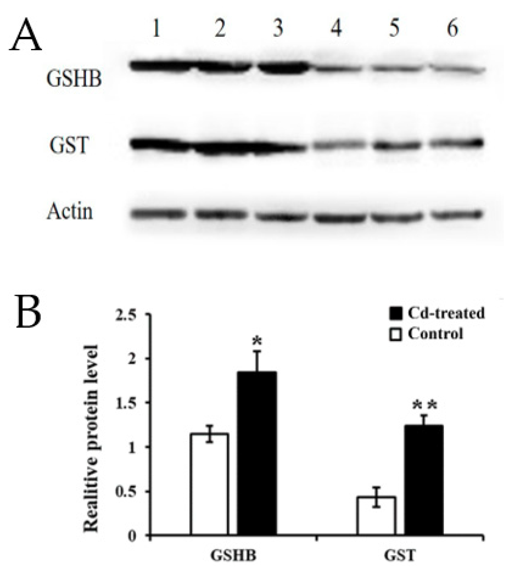 Ijms 21 00180 g006 Ijms 21 00180 g006
