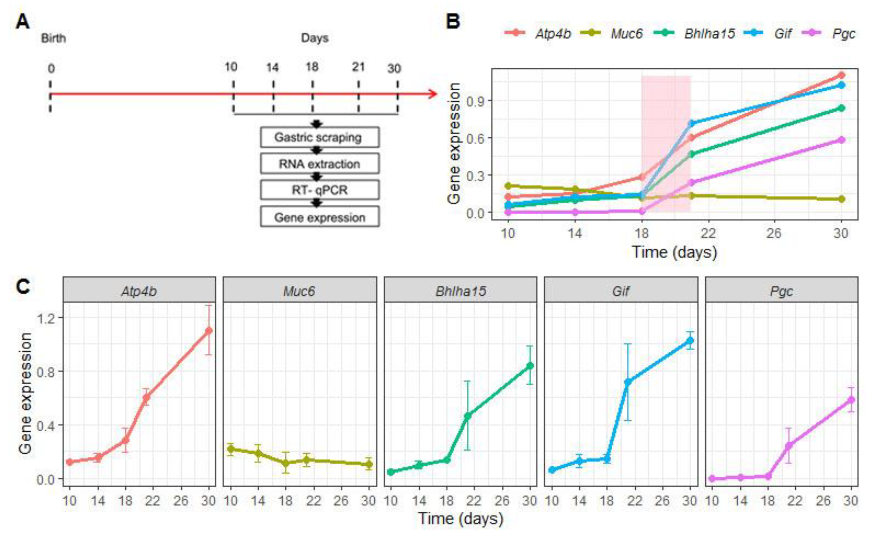 Ijms 21 00196 g002 Ijms 21 00196 g002
