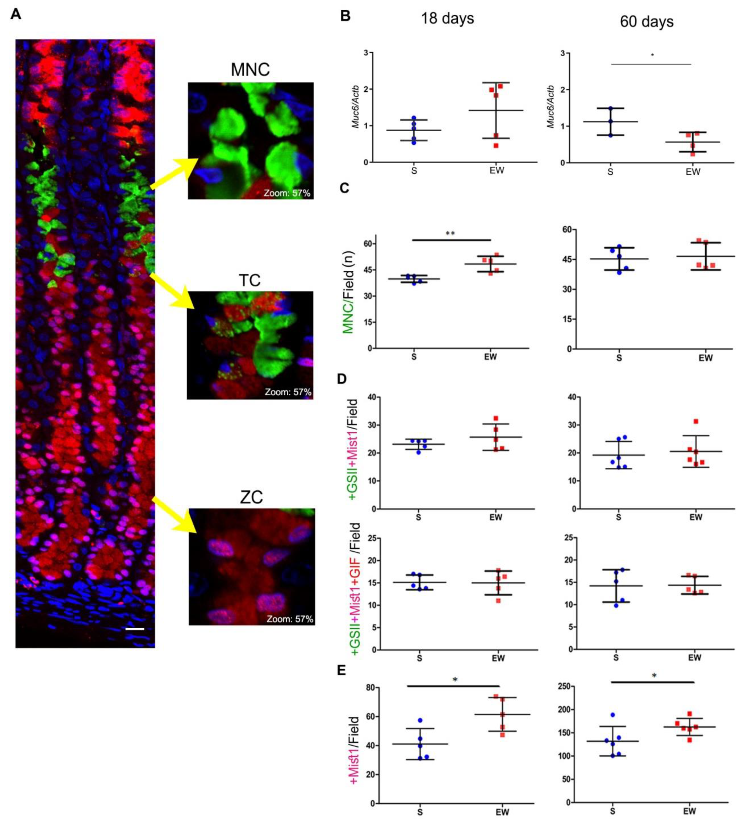 Ijms 21 00196 g004 Ijms 21 00196 g004