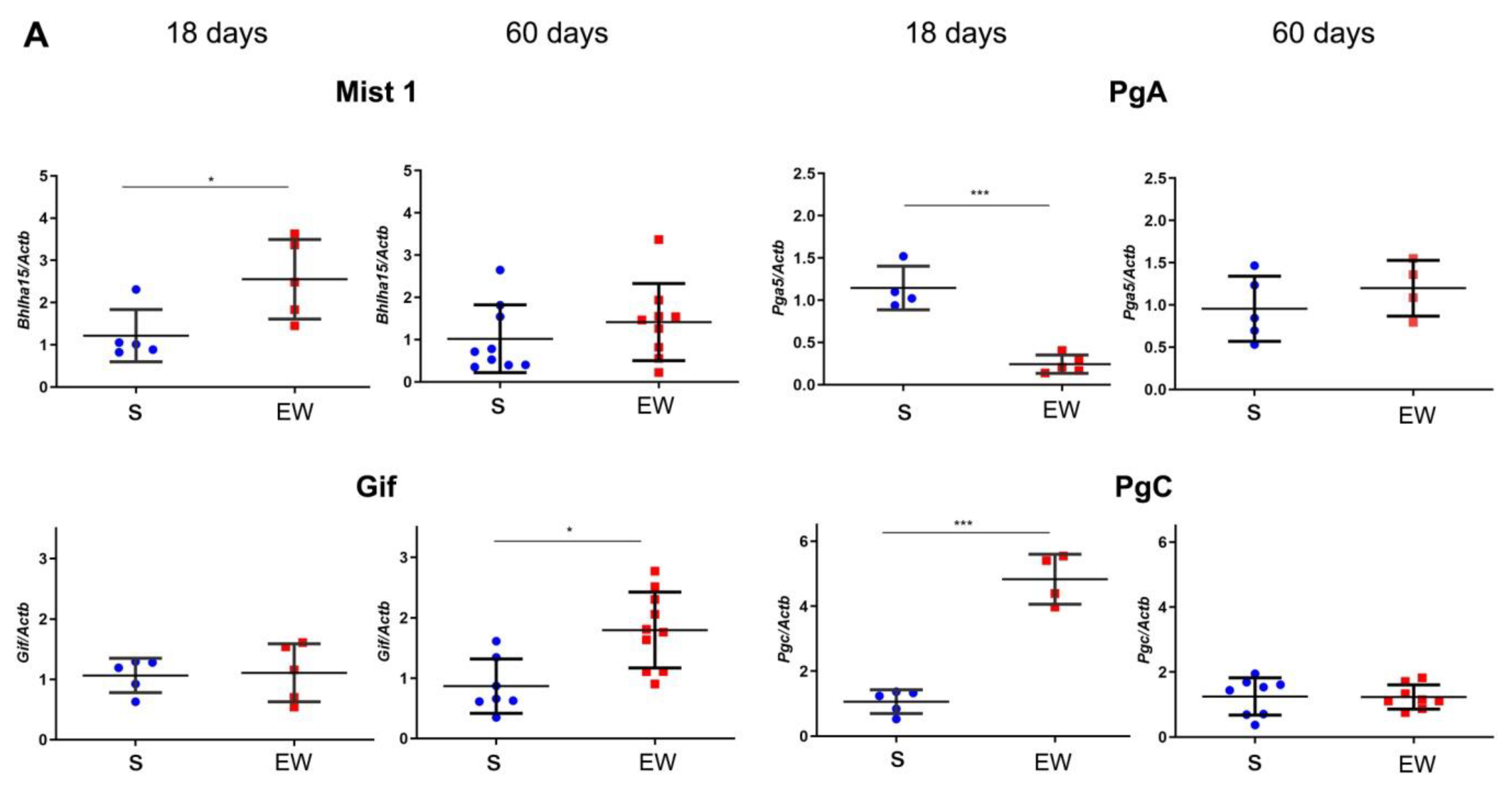 Ijms 21 00196 g005a Ijms 21 00196 g005a