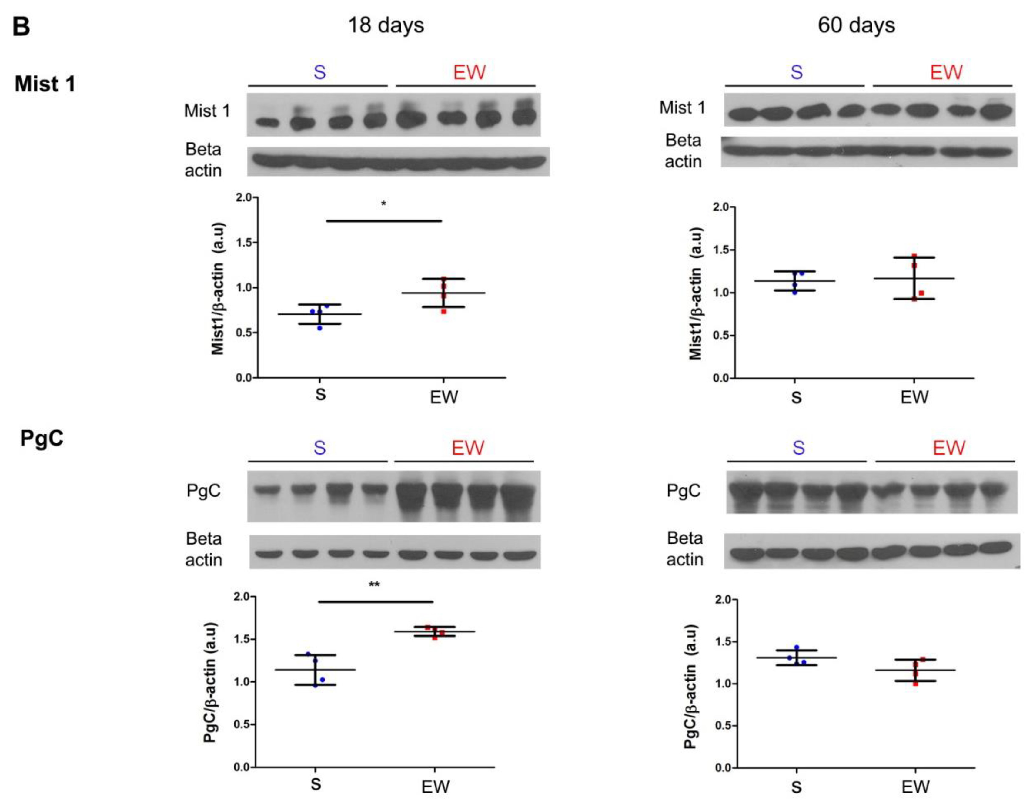 Ijms 21 00196 g005b Ijms 21 00196 g005b