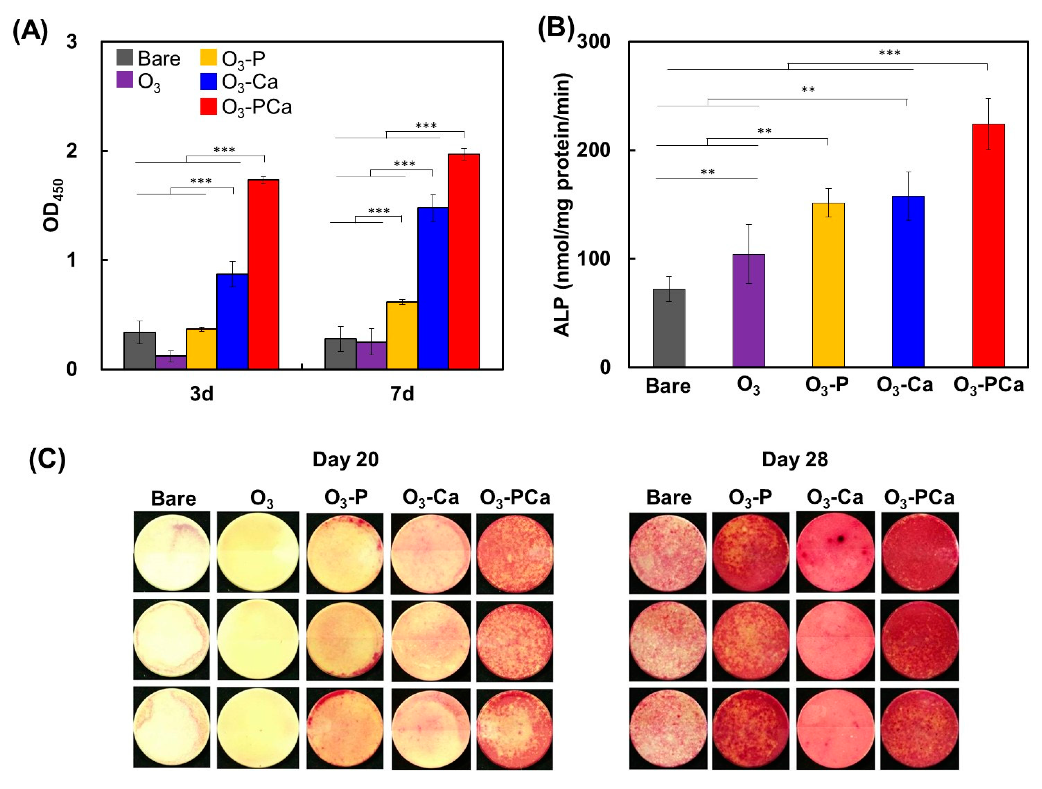 Ijms 21 00198 g005 Ijms 21 00198 g005