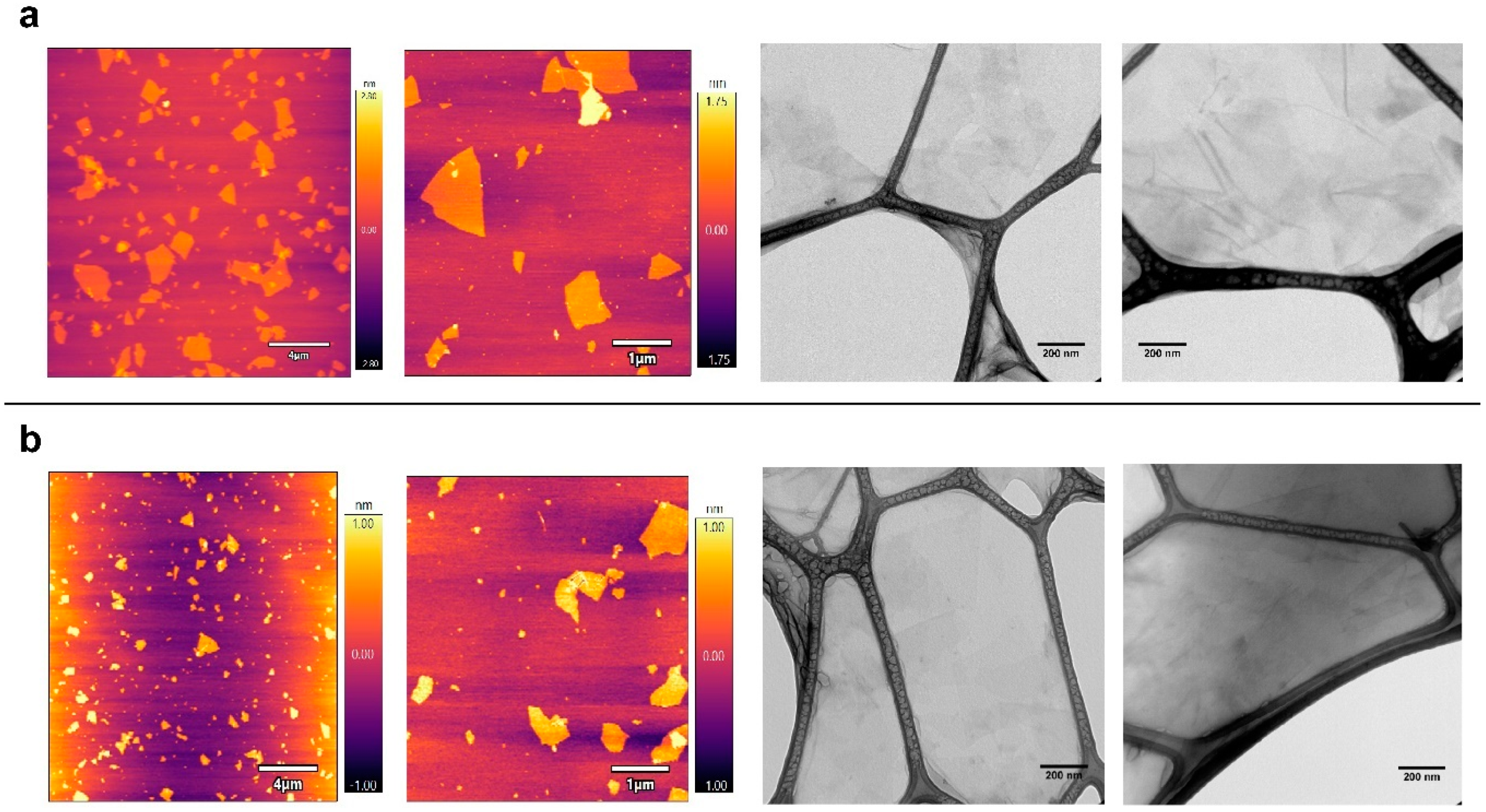 Ijms 21 00205 g001 Ijms 21 00205 g001