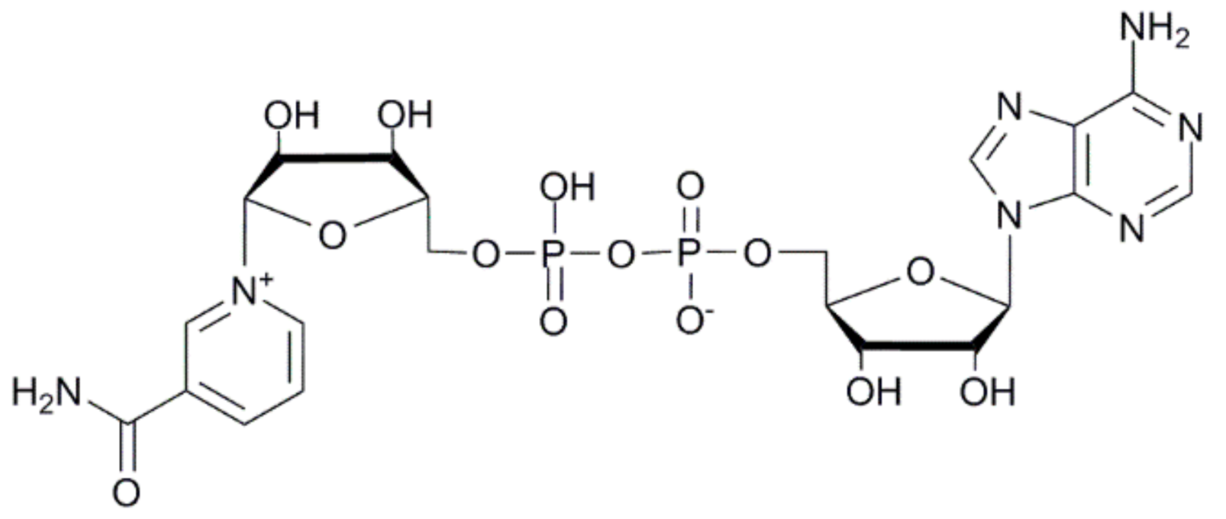 Ijms 21 00214 g001 Ijms 21 00214 g001