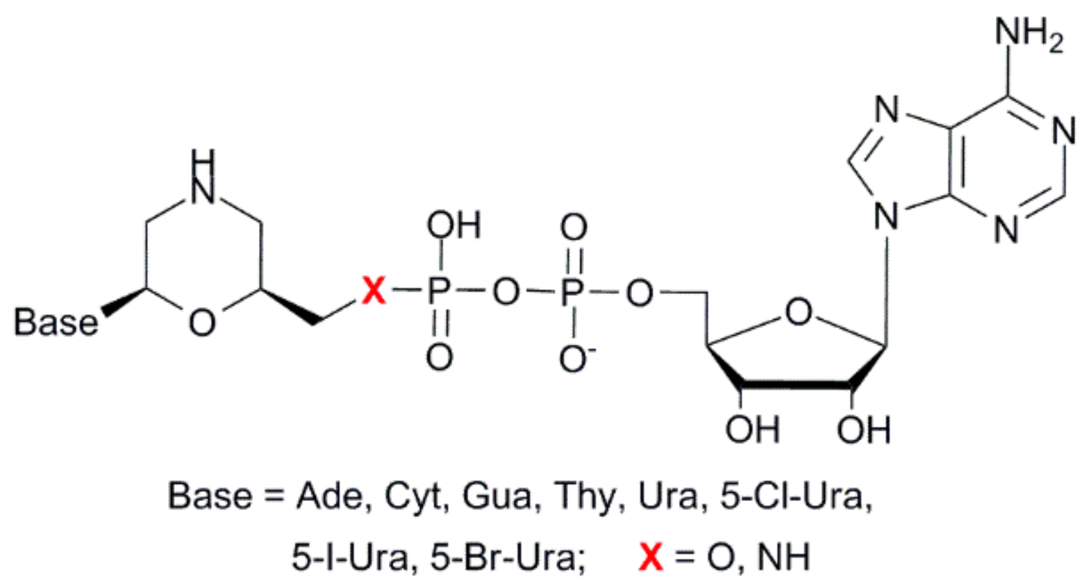 Ijms 21 00214 g002 Ijms 21 00214 g002