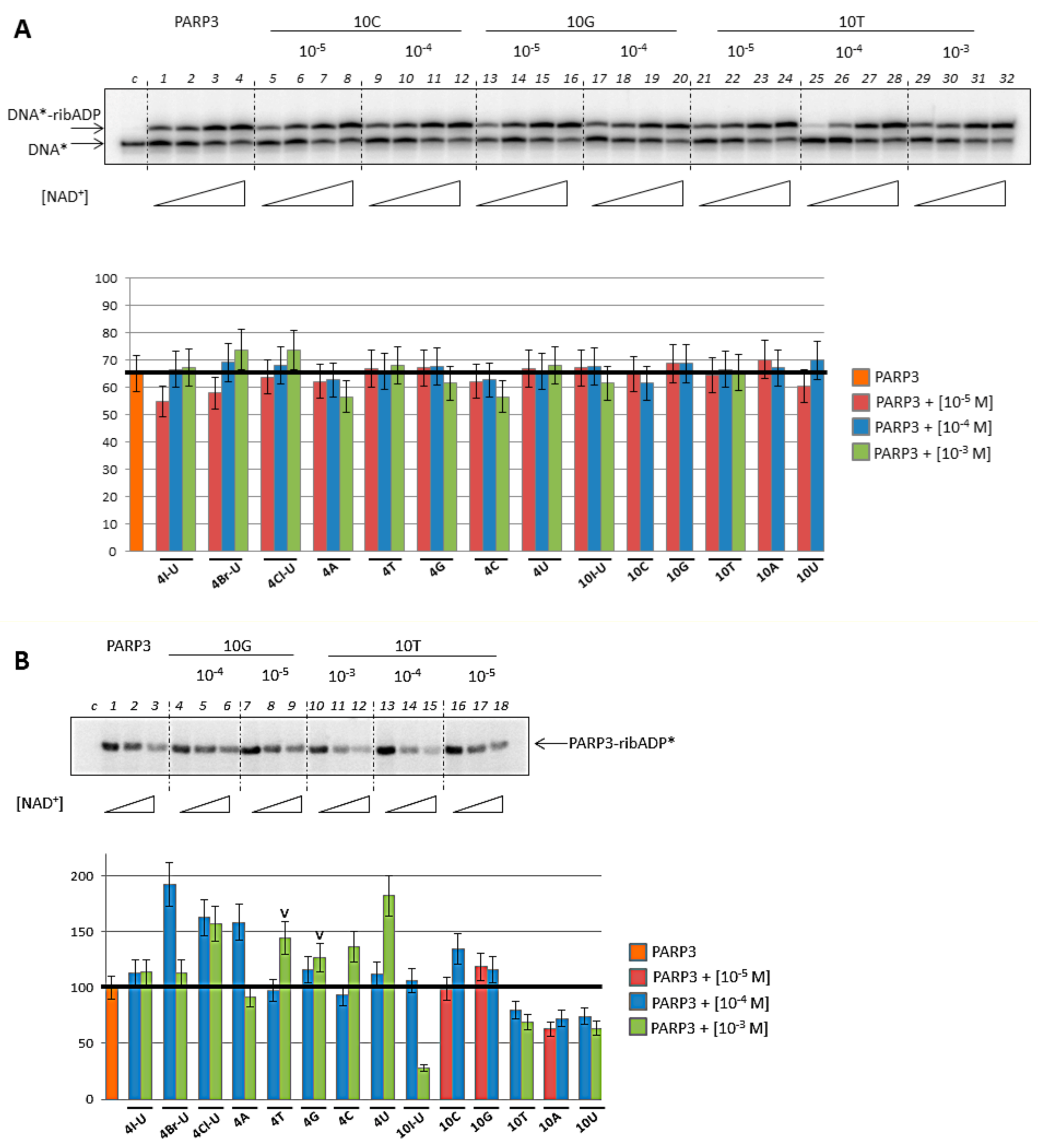 Ijms 21 00214 g004 Ijms 21 00214 g004