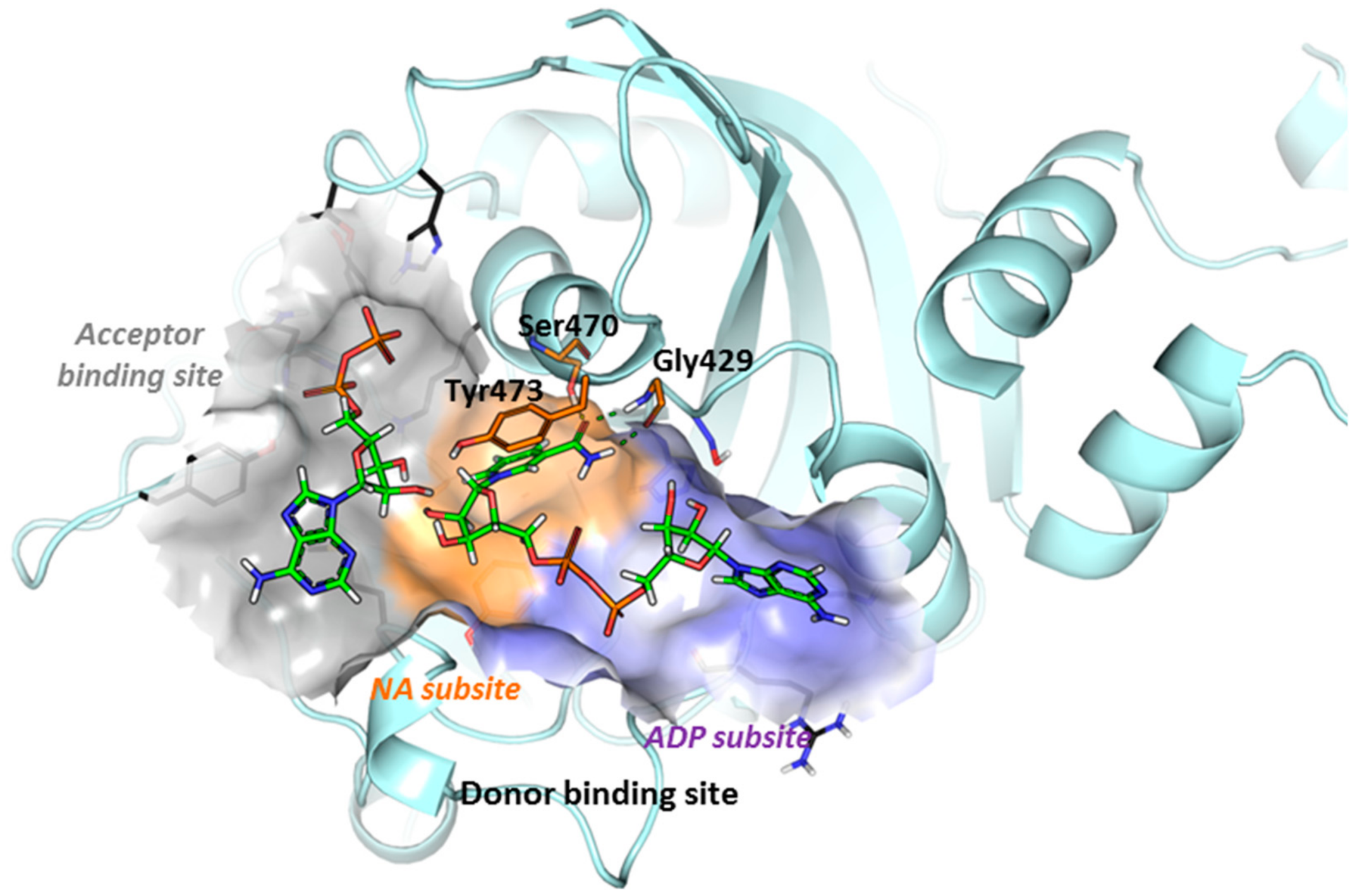 Ijms 21 00214 g005 Ijms 21 00214 g005