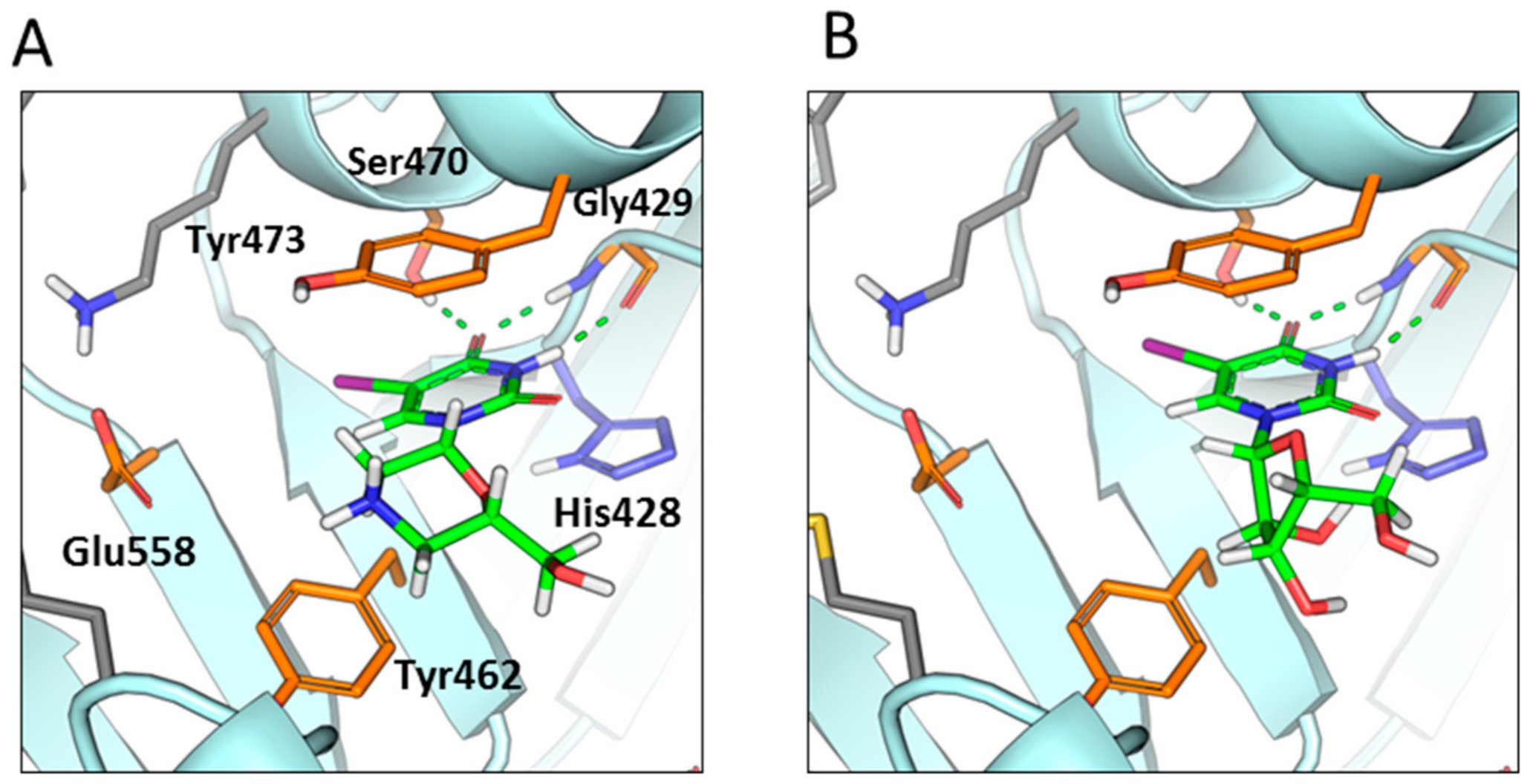 Ijms 21 00214 g006 Ijms 21 00214 g006