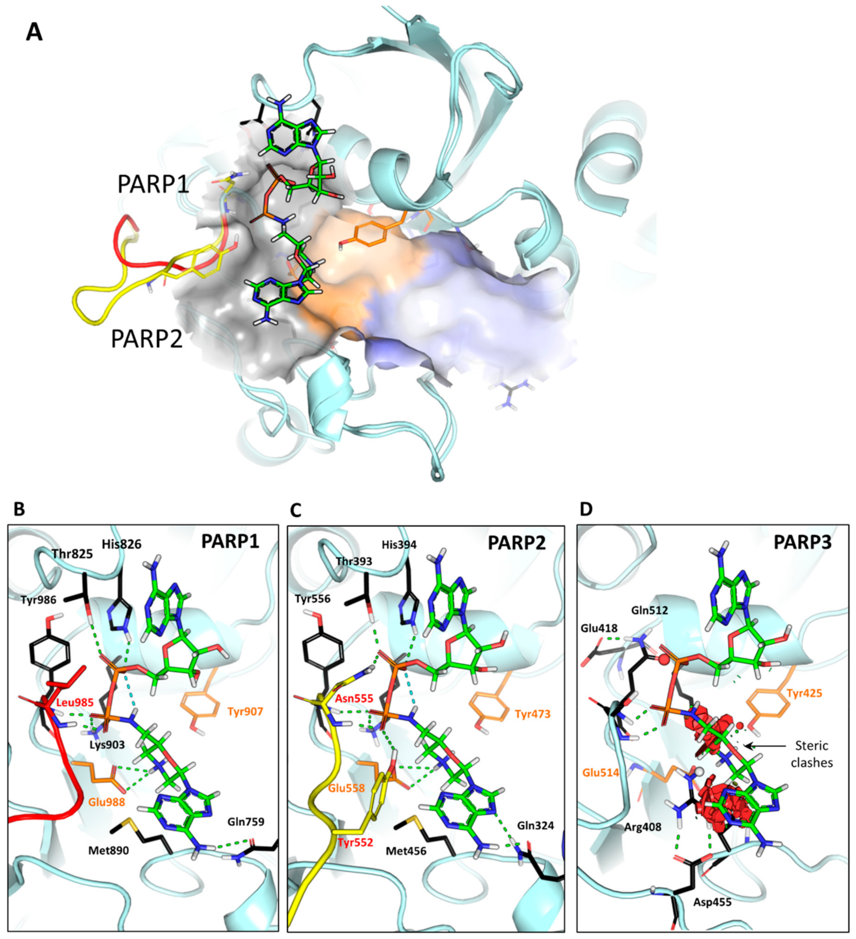 Ijms 21 00214 g008 Ijms 21 00214 g008