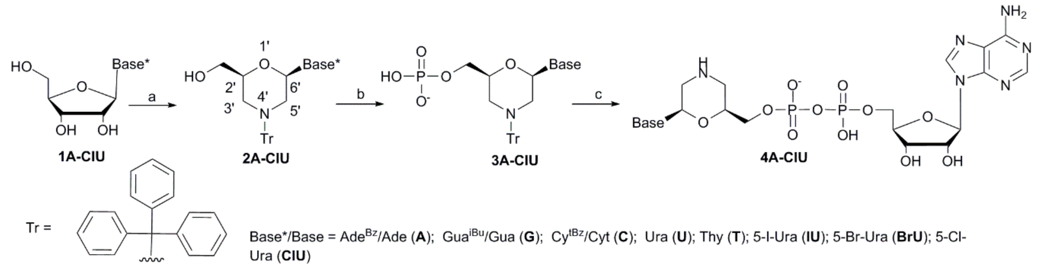 Ijms 21 00214 sch001 Ijms 21 00214 sch001