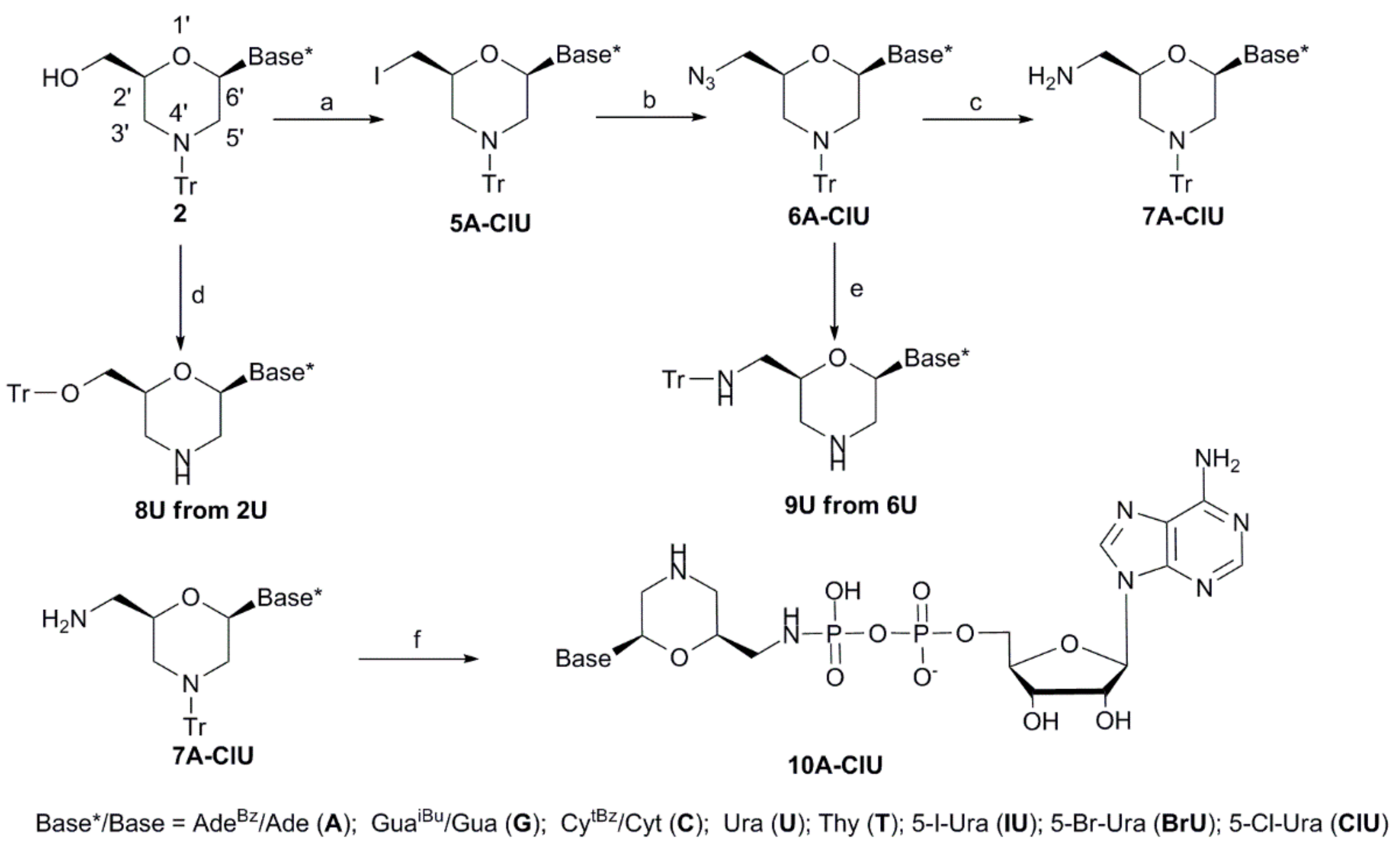 Ijms 21 00214 sch002 Ijms 21 00214 sch002