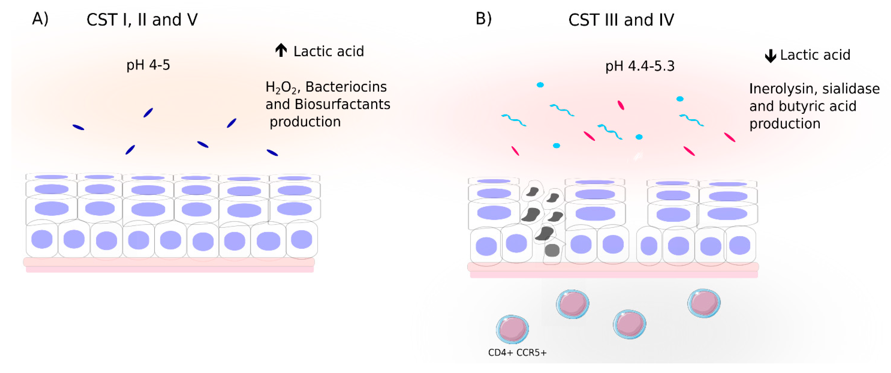 Ijms 21 00222 g002 Ijms 21 00222 g002