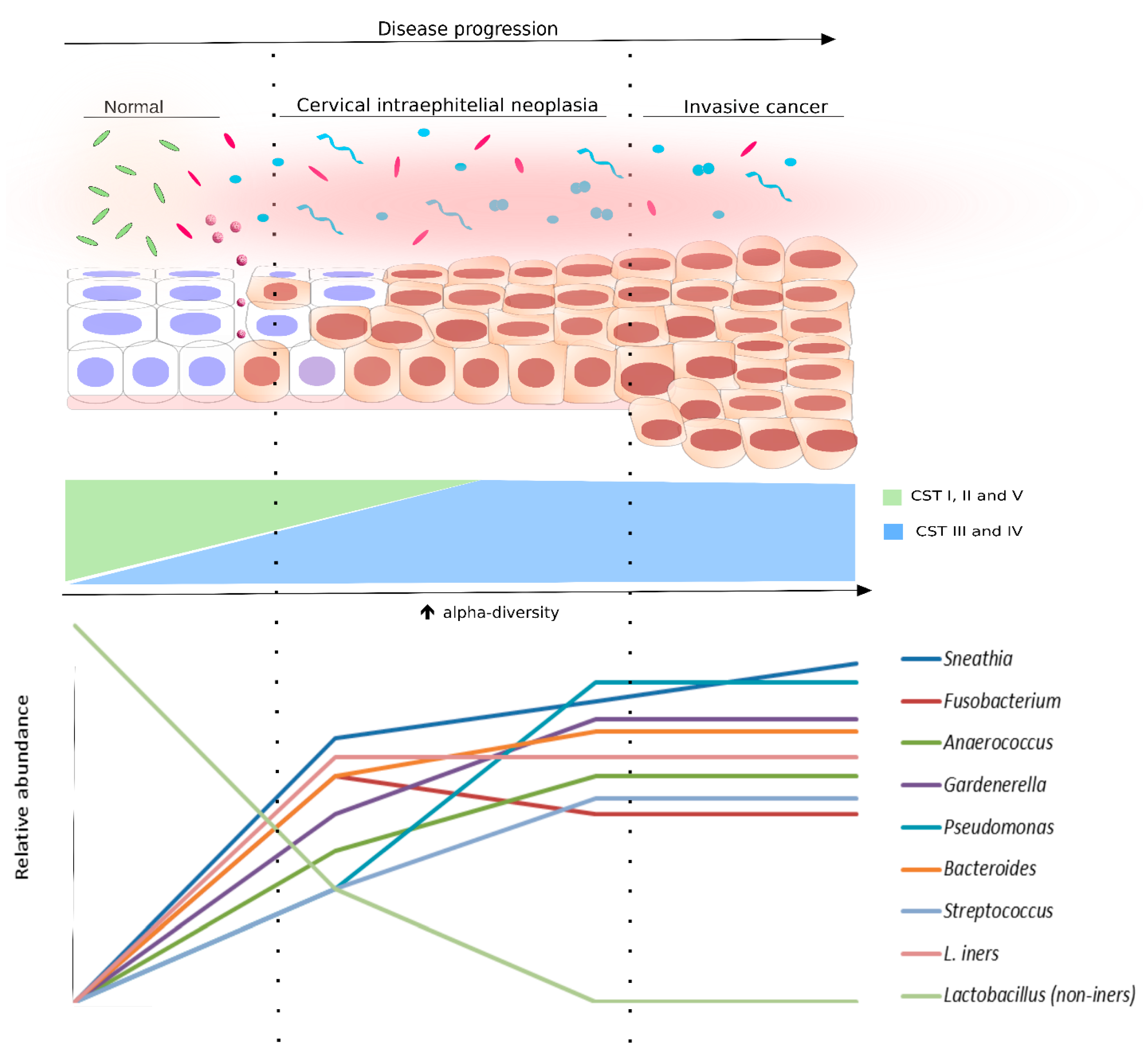 Ijms 21 00222 g003 Ijms 21 00222 g003