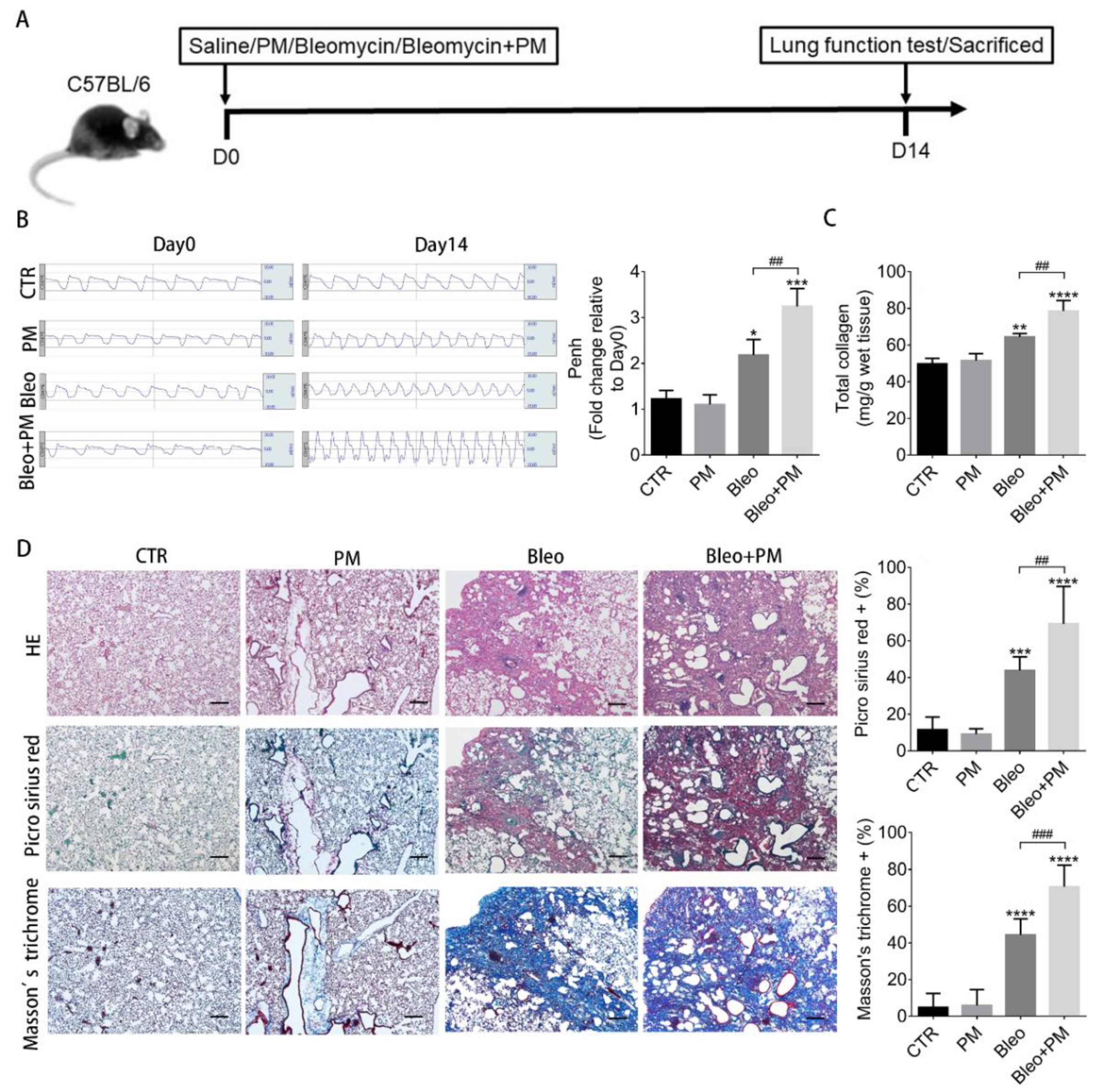 Ijms 21 00227 g001 Ijms 21 00227 g001