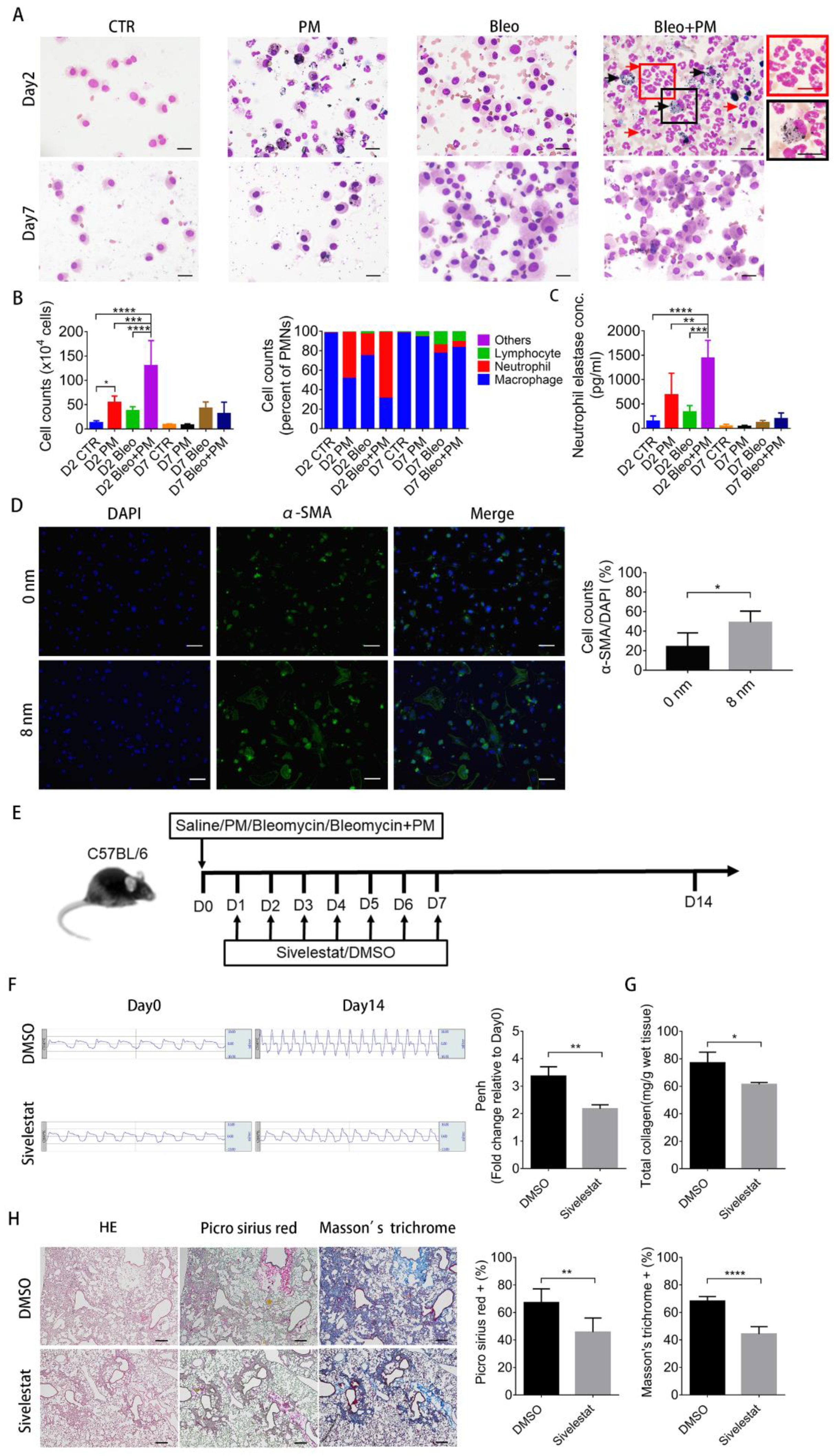 Ijms 21 00227 g002 Ijms 21 00227 g002