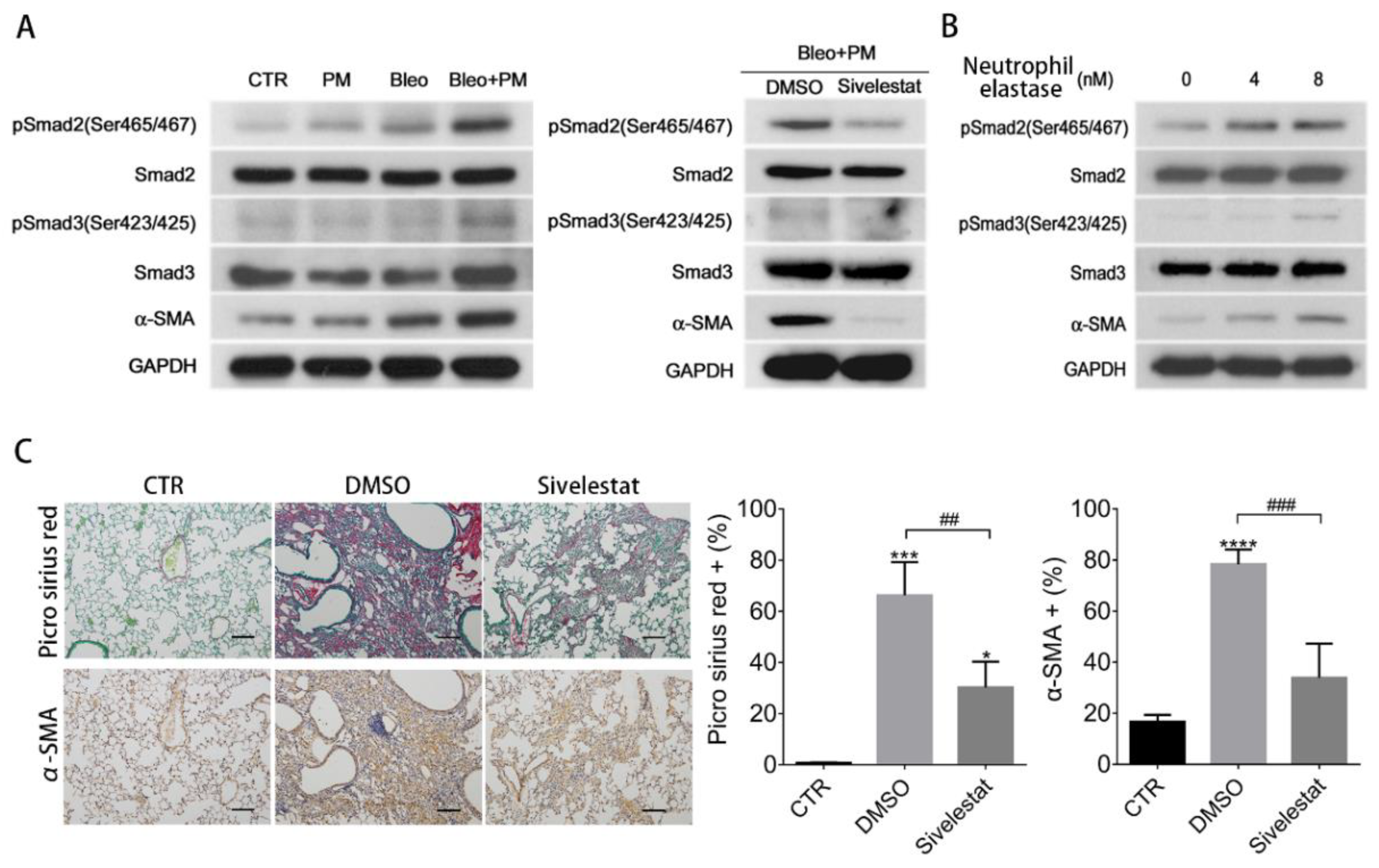 Ijms 21 00227 g003 Ijms 21 00227 g003