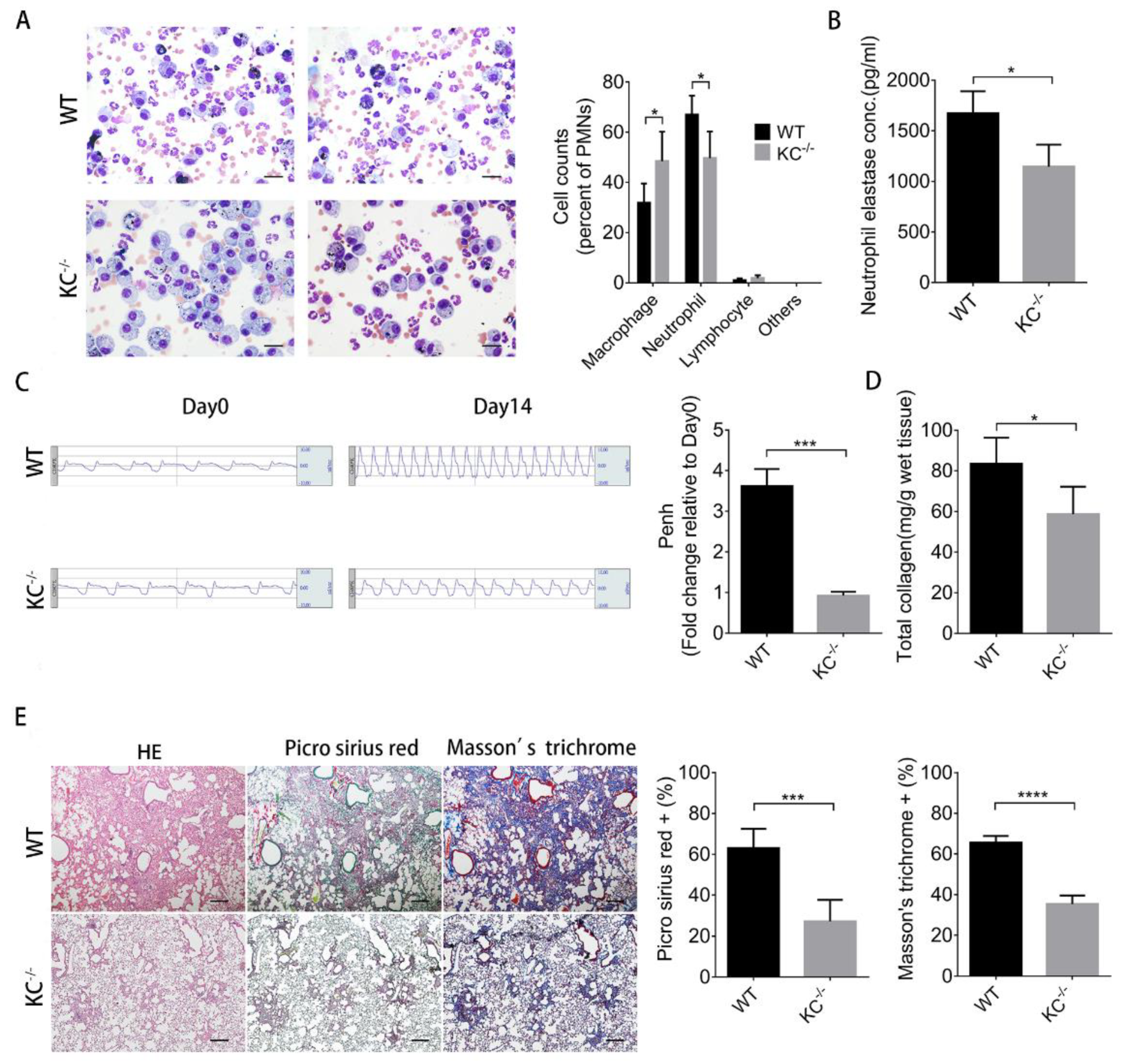 Ijms 21 00227 g005 Ijms 21 00227 g005