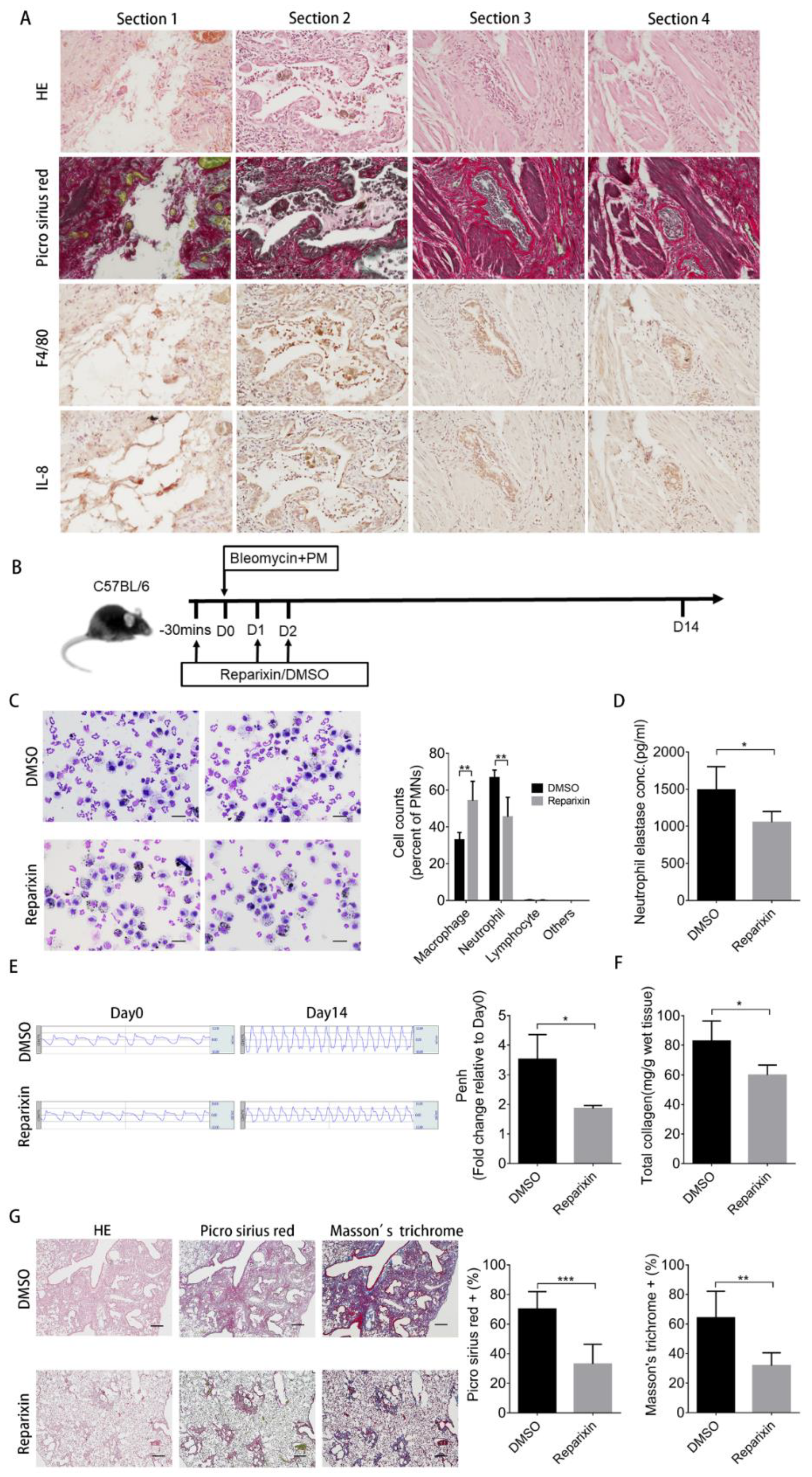Ijms 21 00227 g006 Ijms 21 00227 g006
