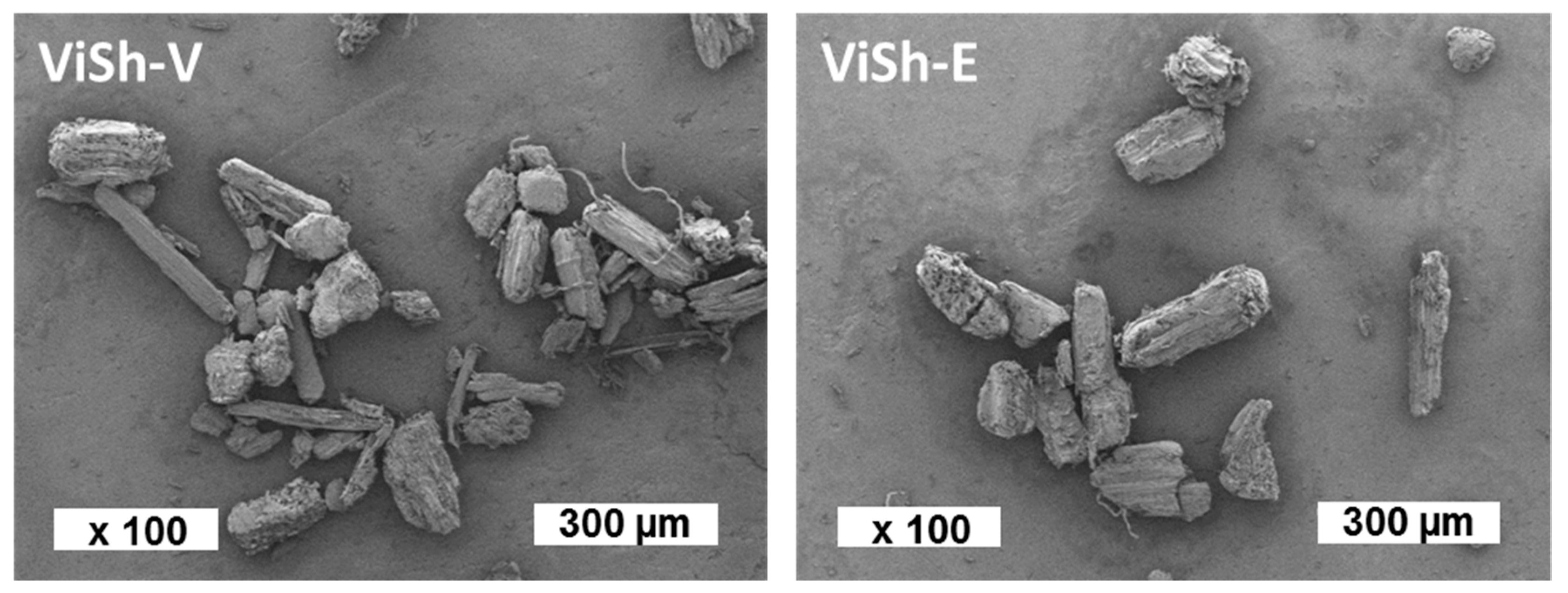 Ijms 21 00228 g001 Ijms 21 00228 g001